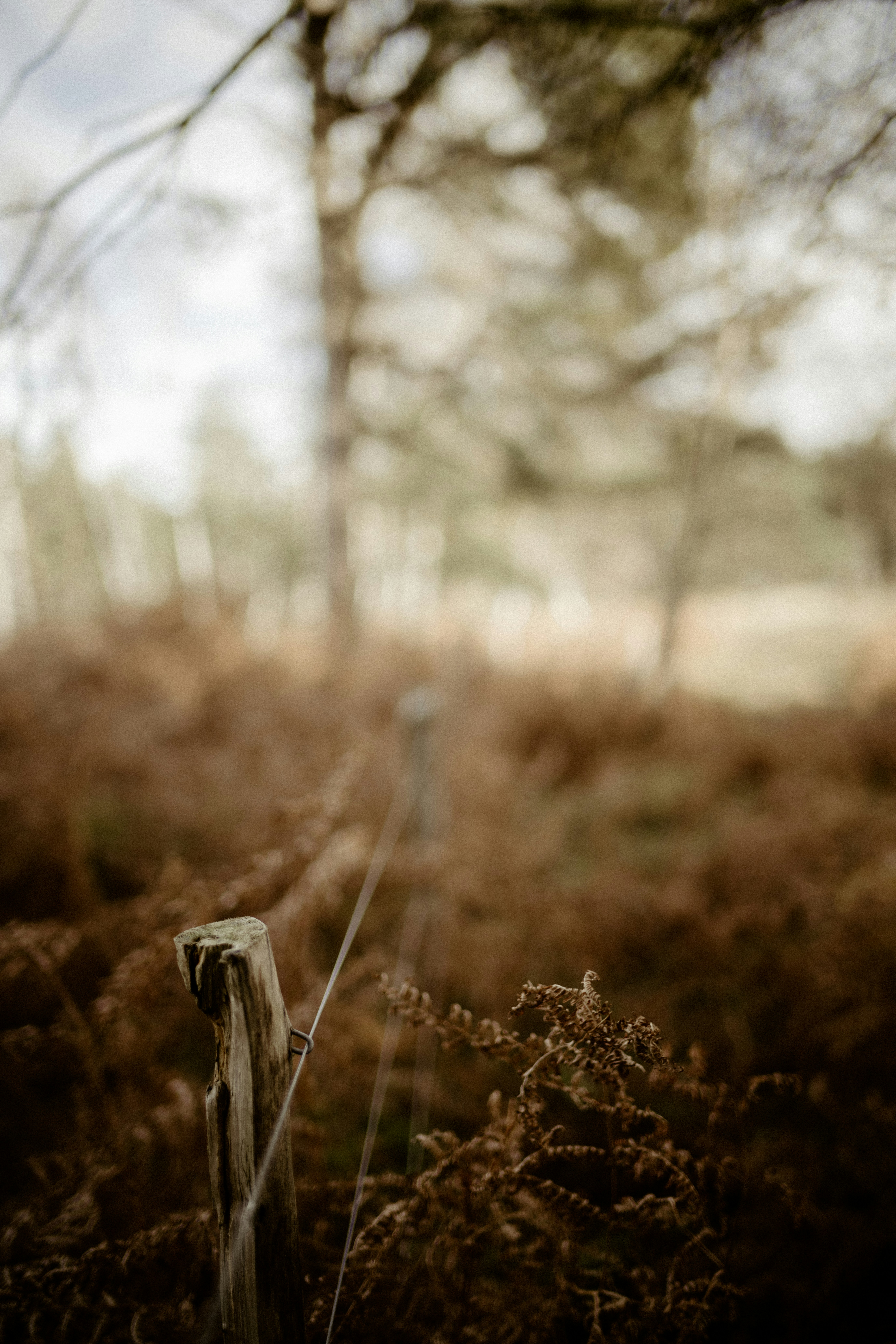 Photo by anniespratt