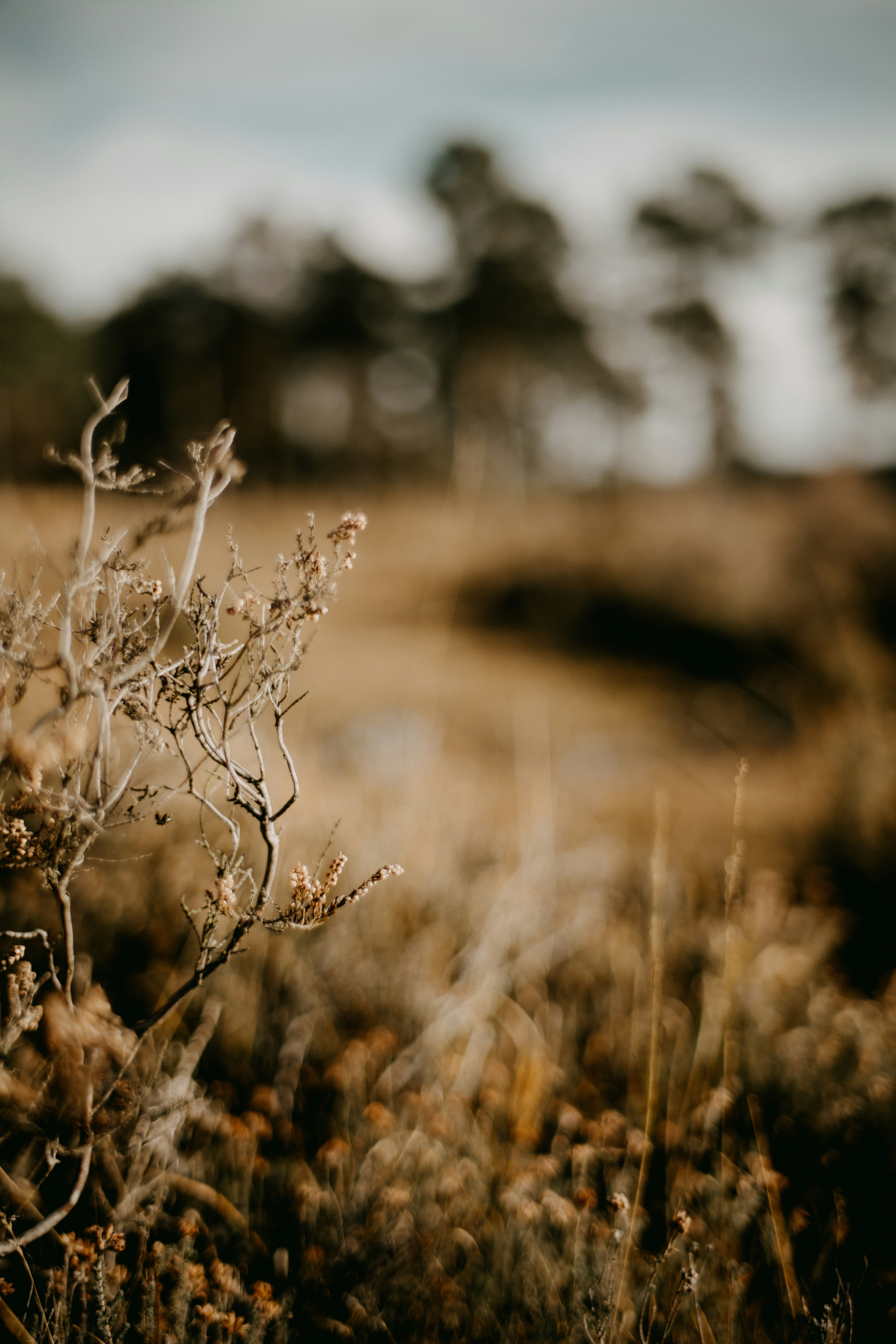 Photo by anniespratt