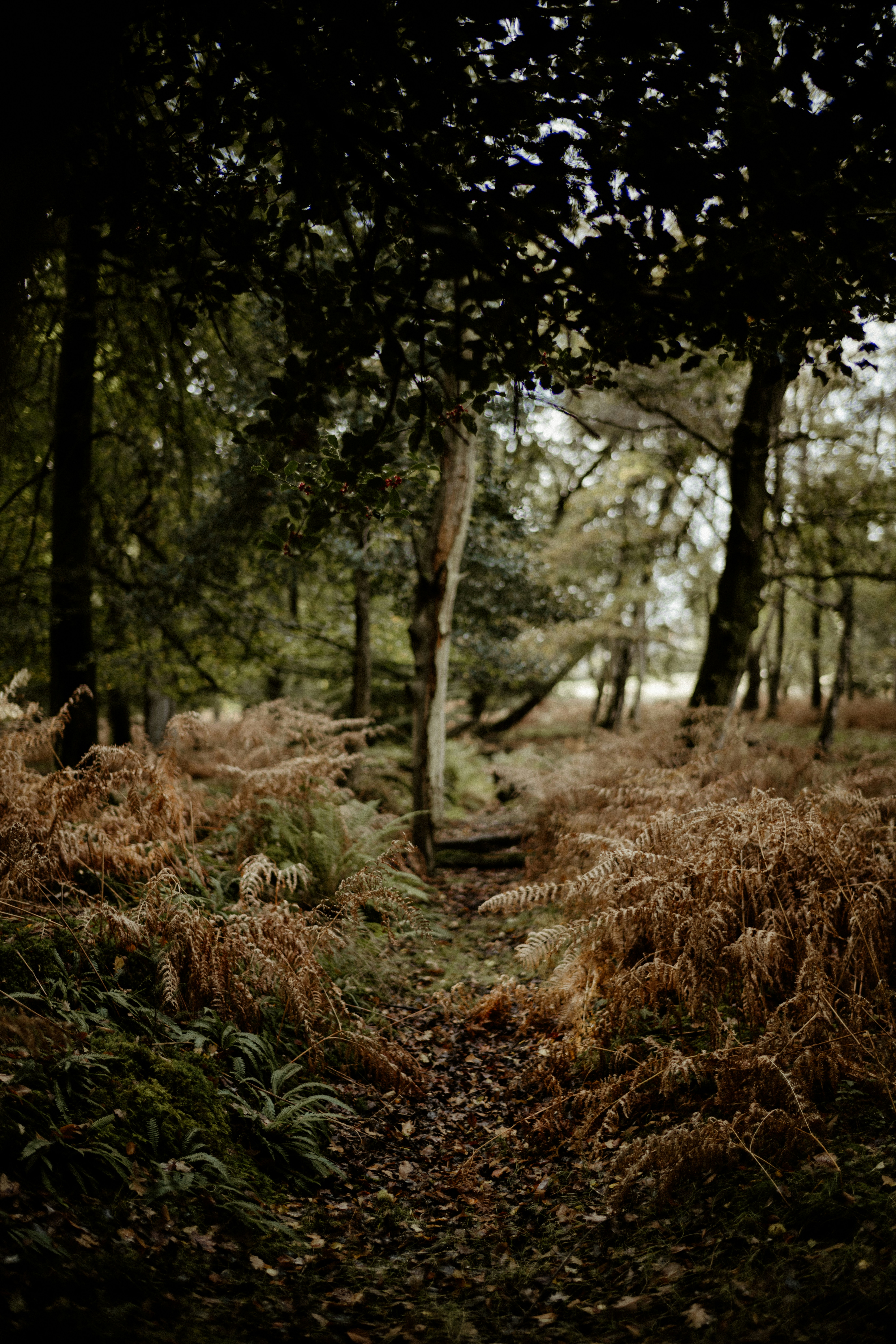 Photo by anniespratt