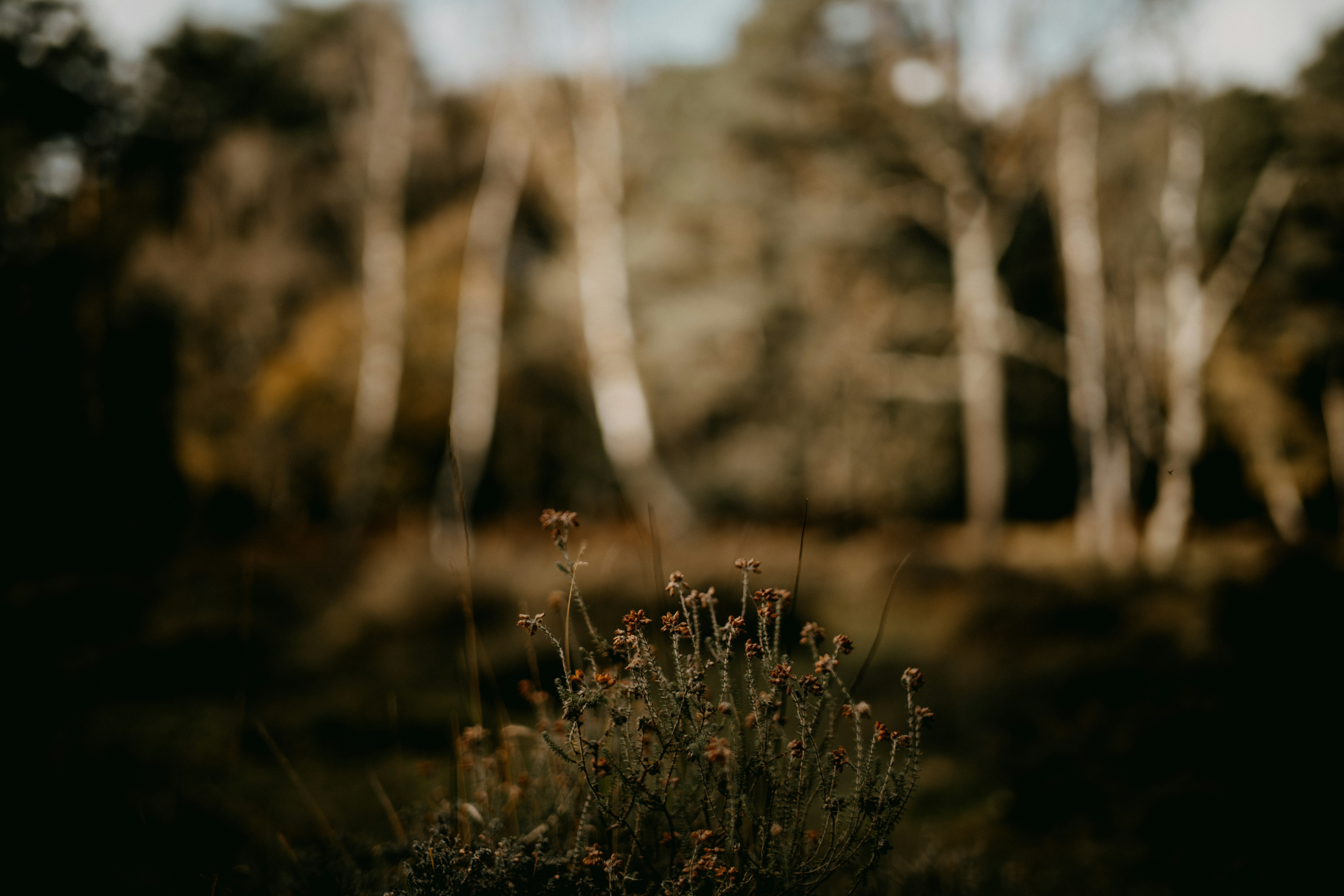 Photo by anniespratt