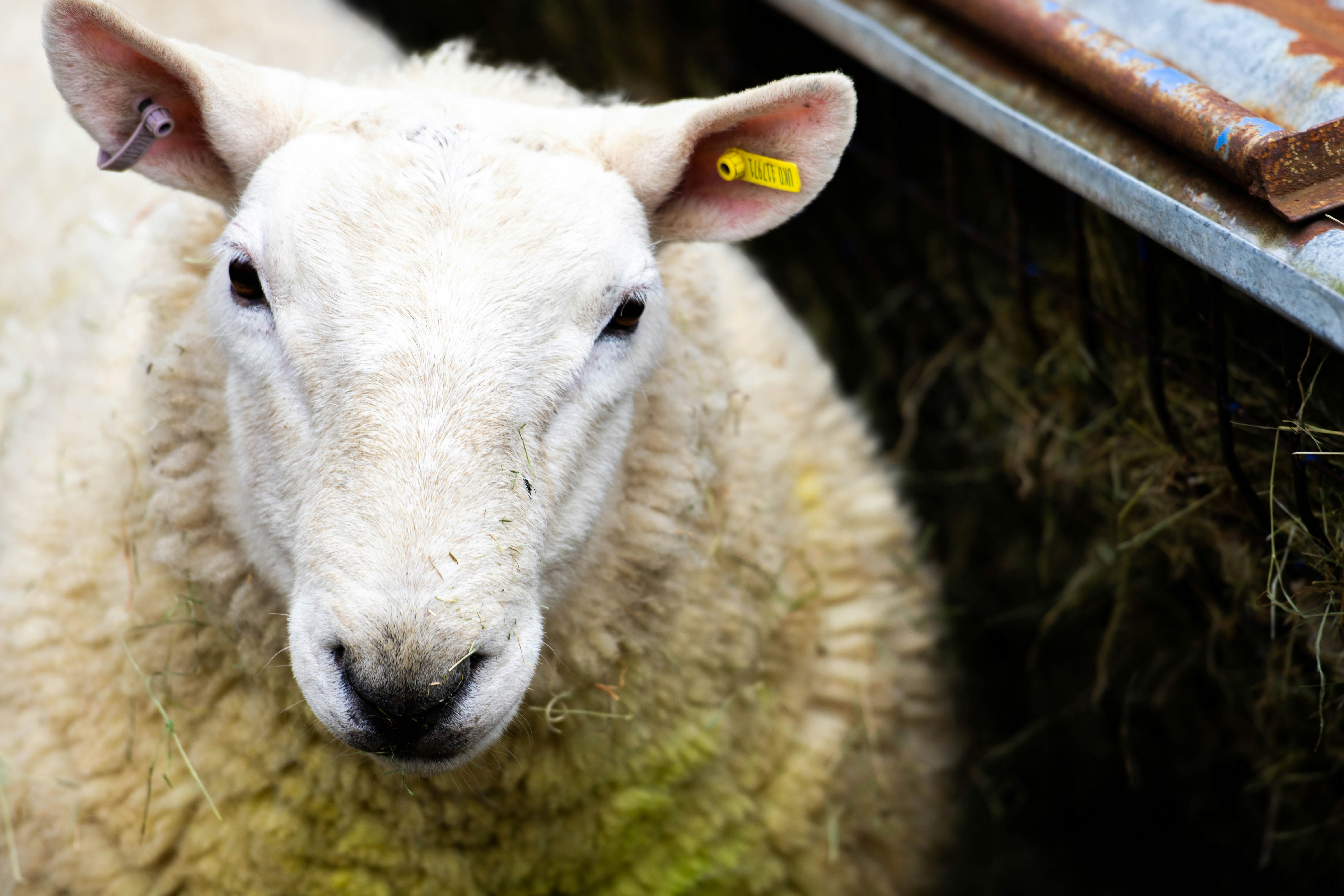 Photo by maplerockdesign