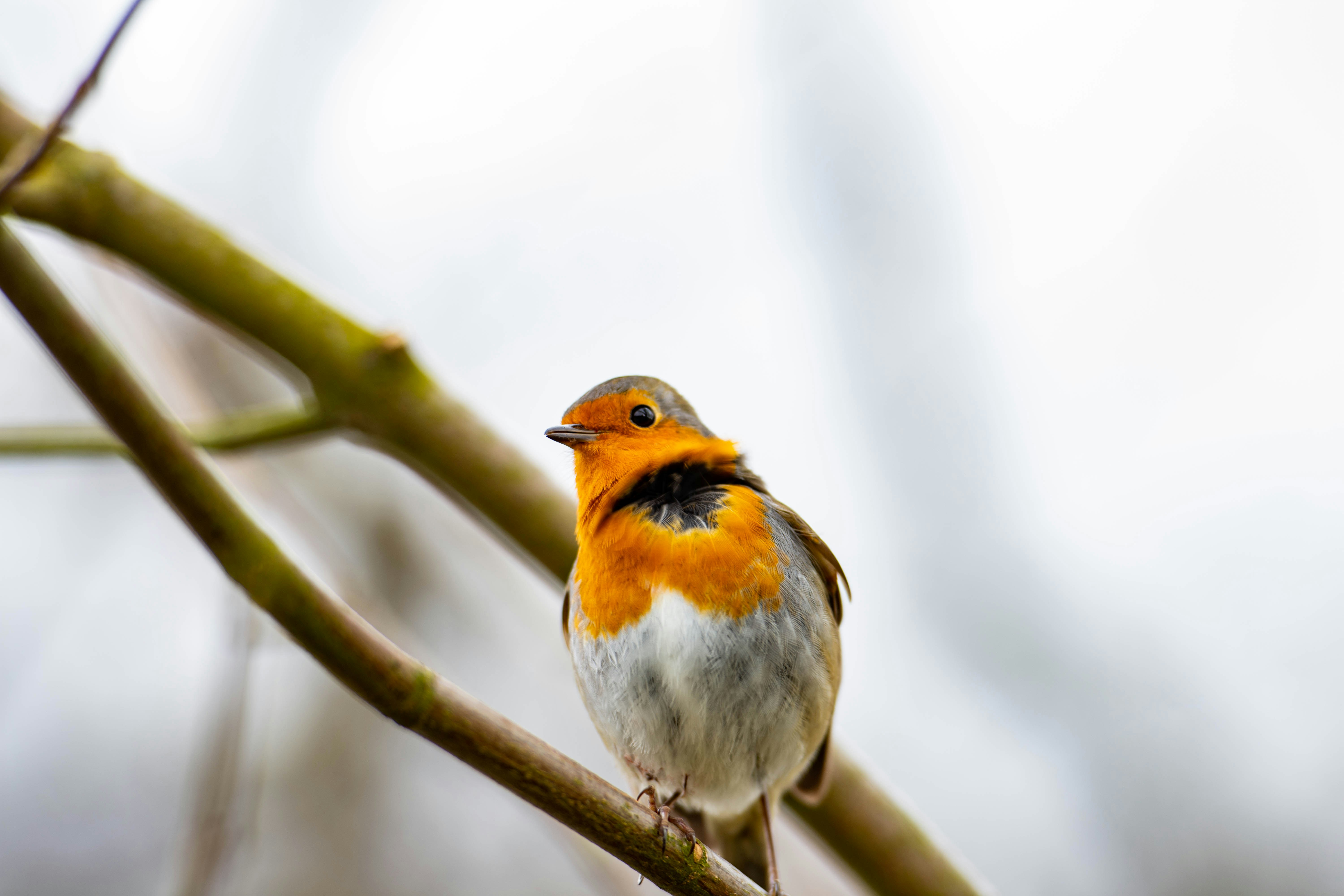 Photo by maplerockdesign