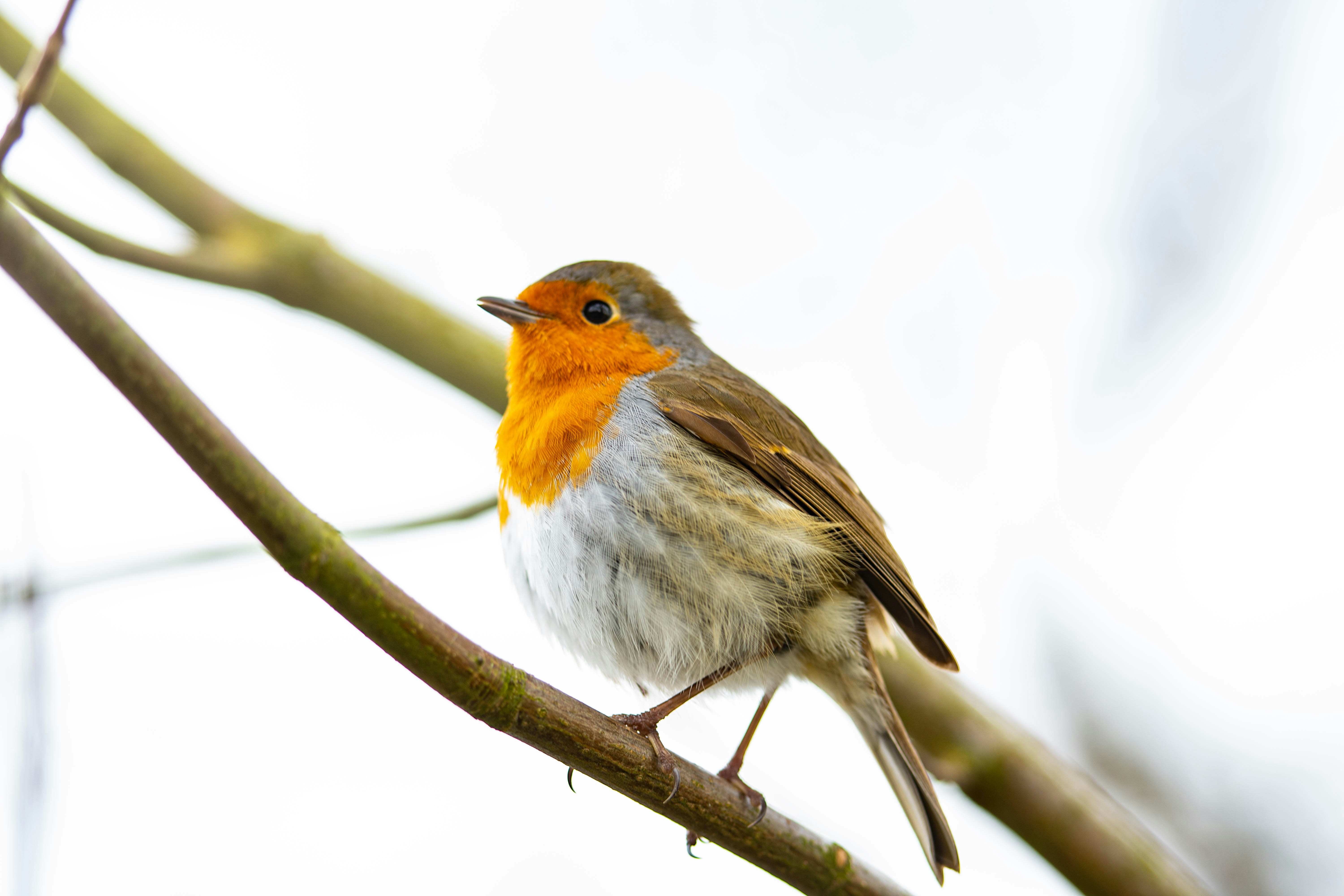 Photo by maplerockdesign