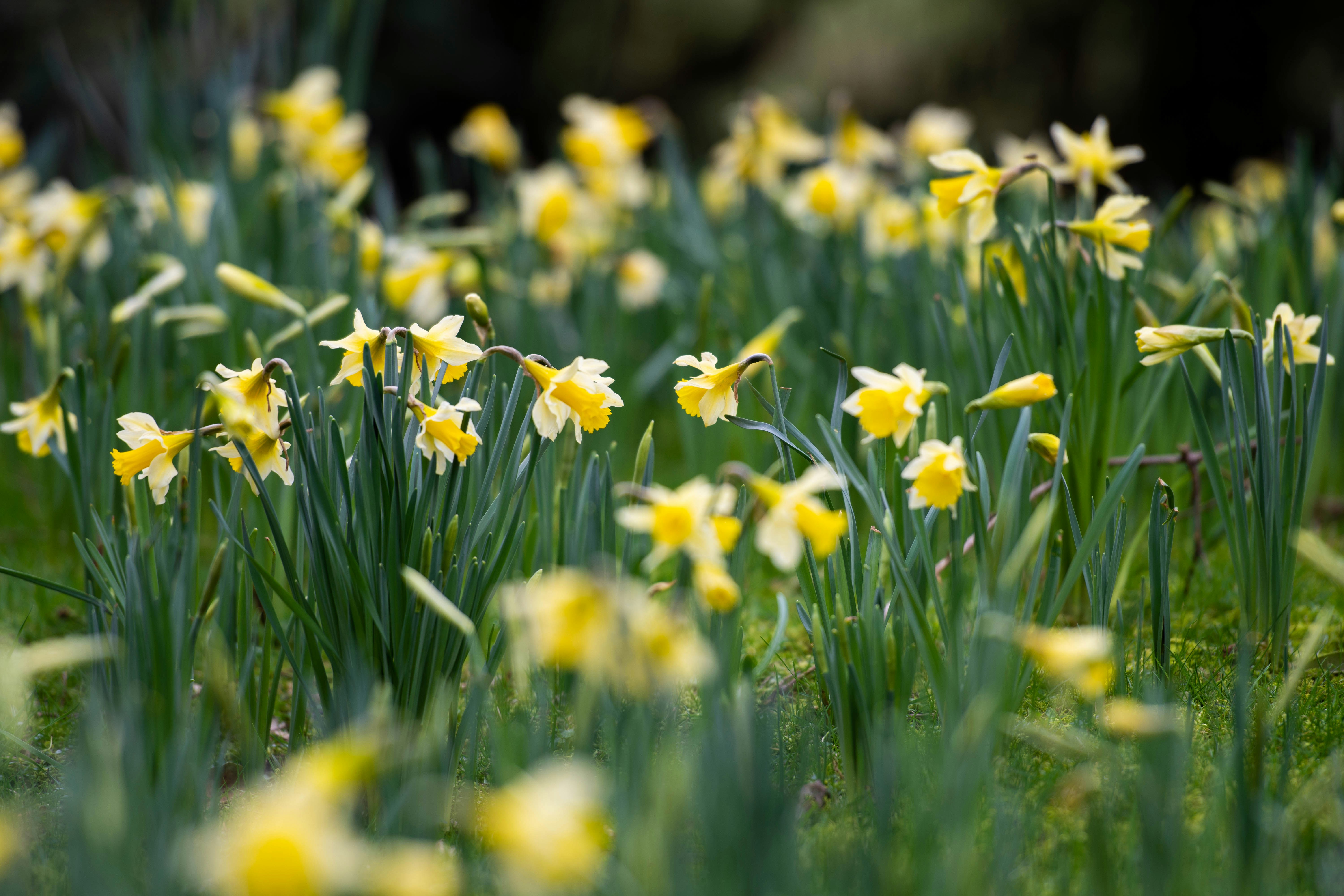 Photo by maplerockdesign