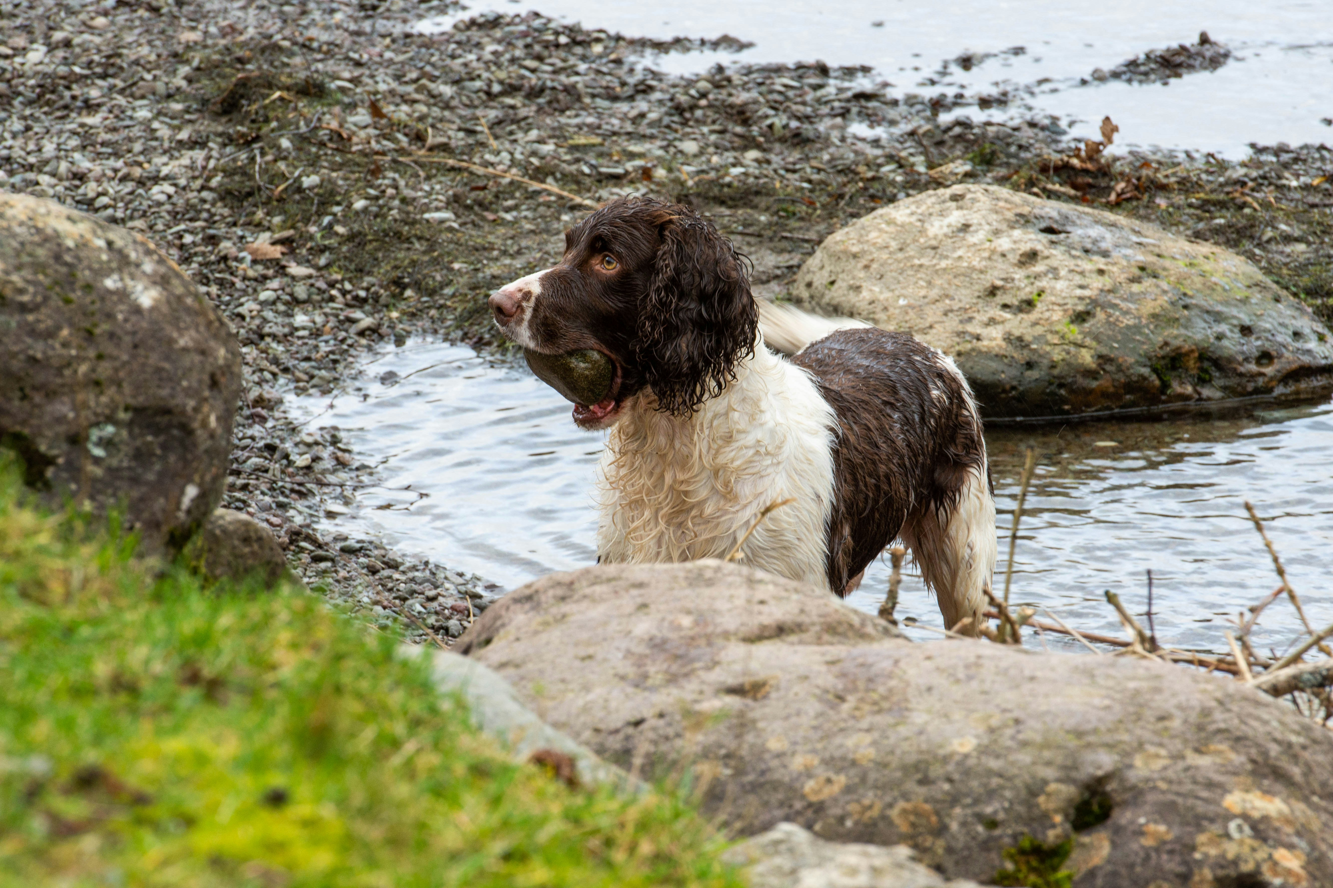 Photo by maplerockdesign