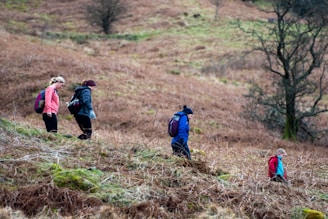 a group of people hiking up a hill