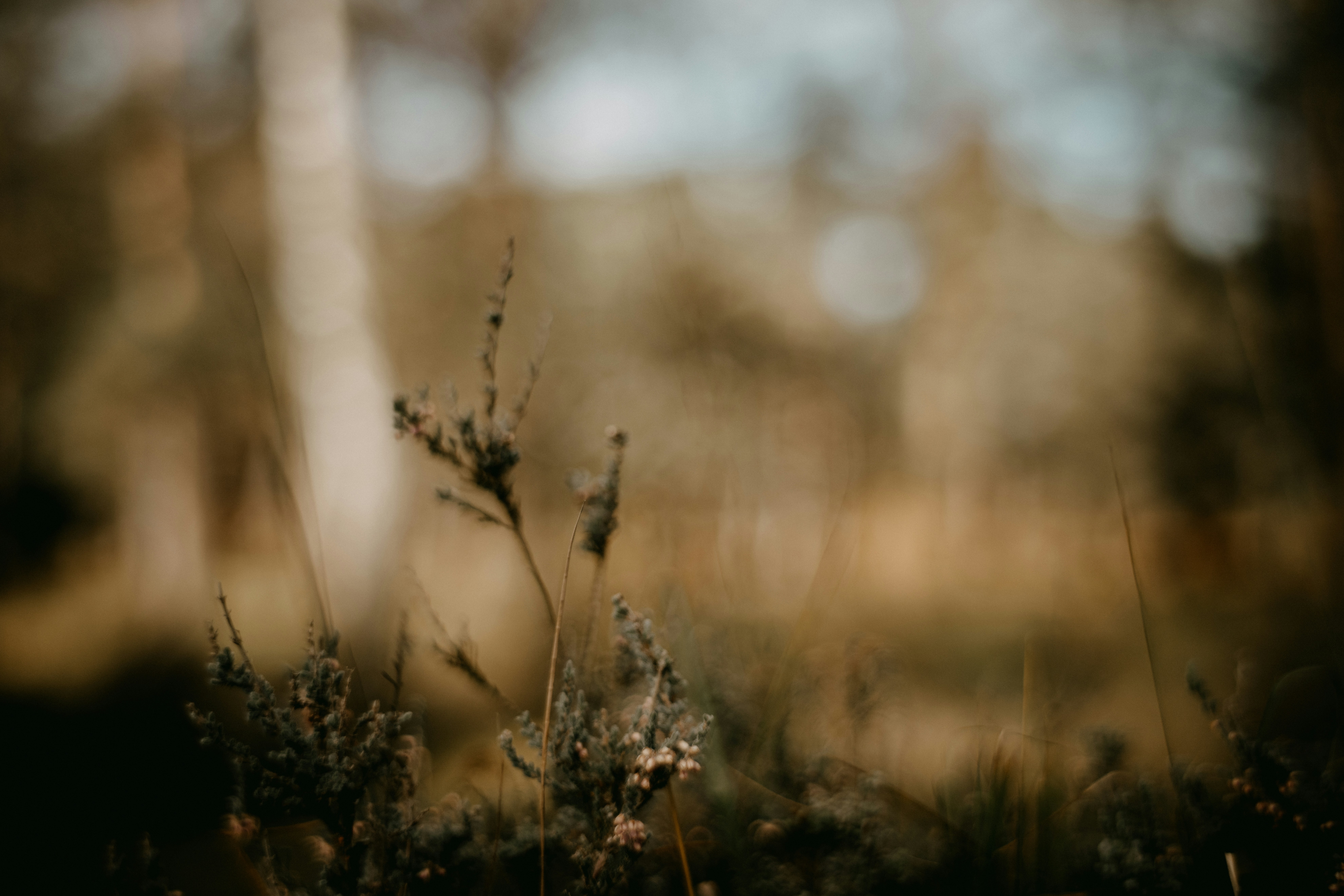 Photo by anniespratt