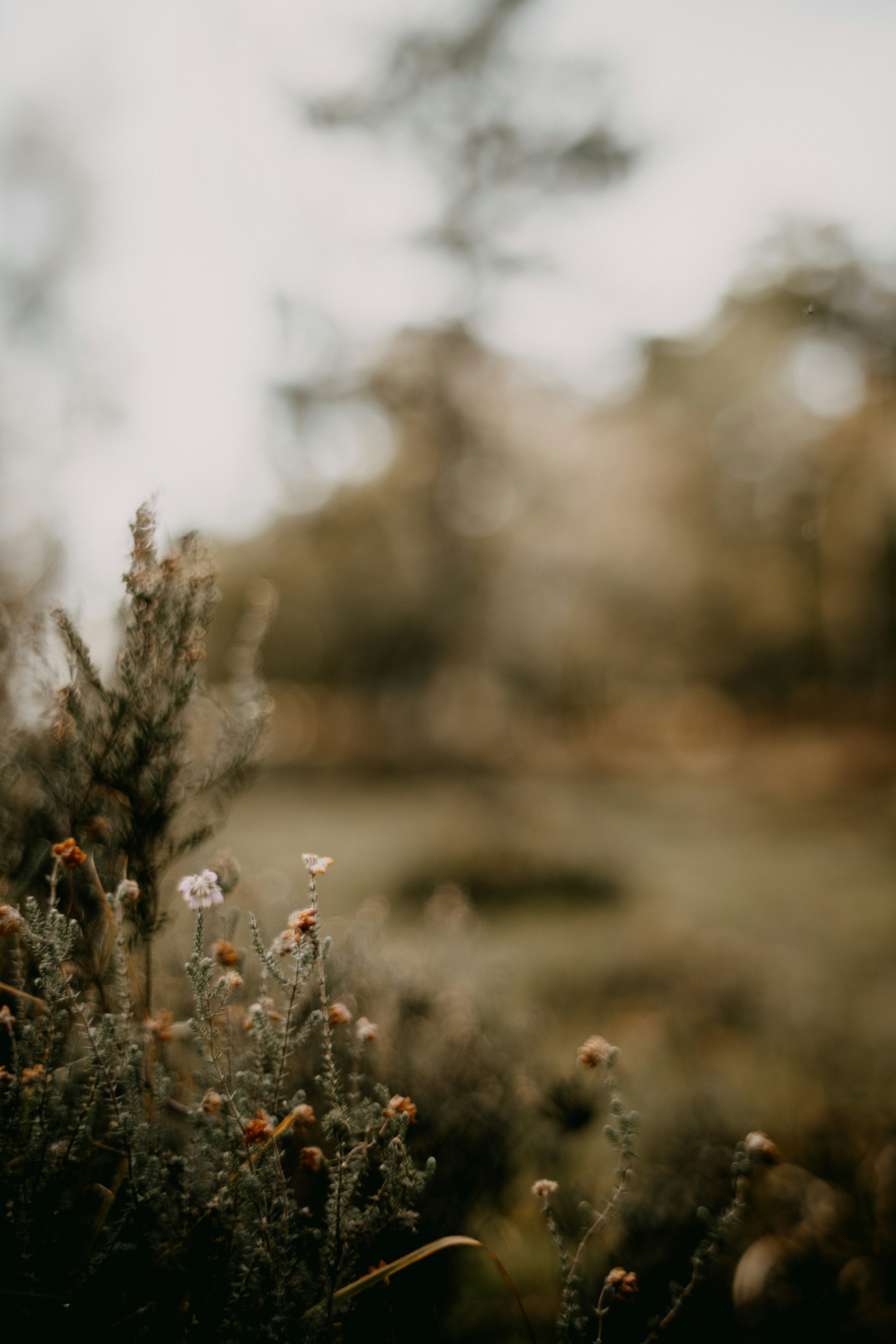 Photo by anniespratt