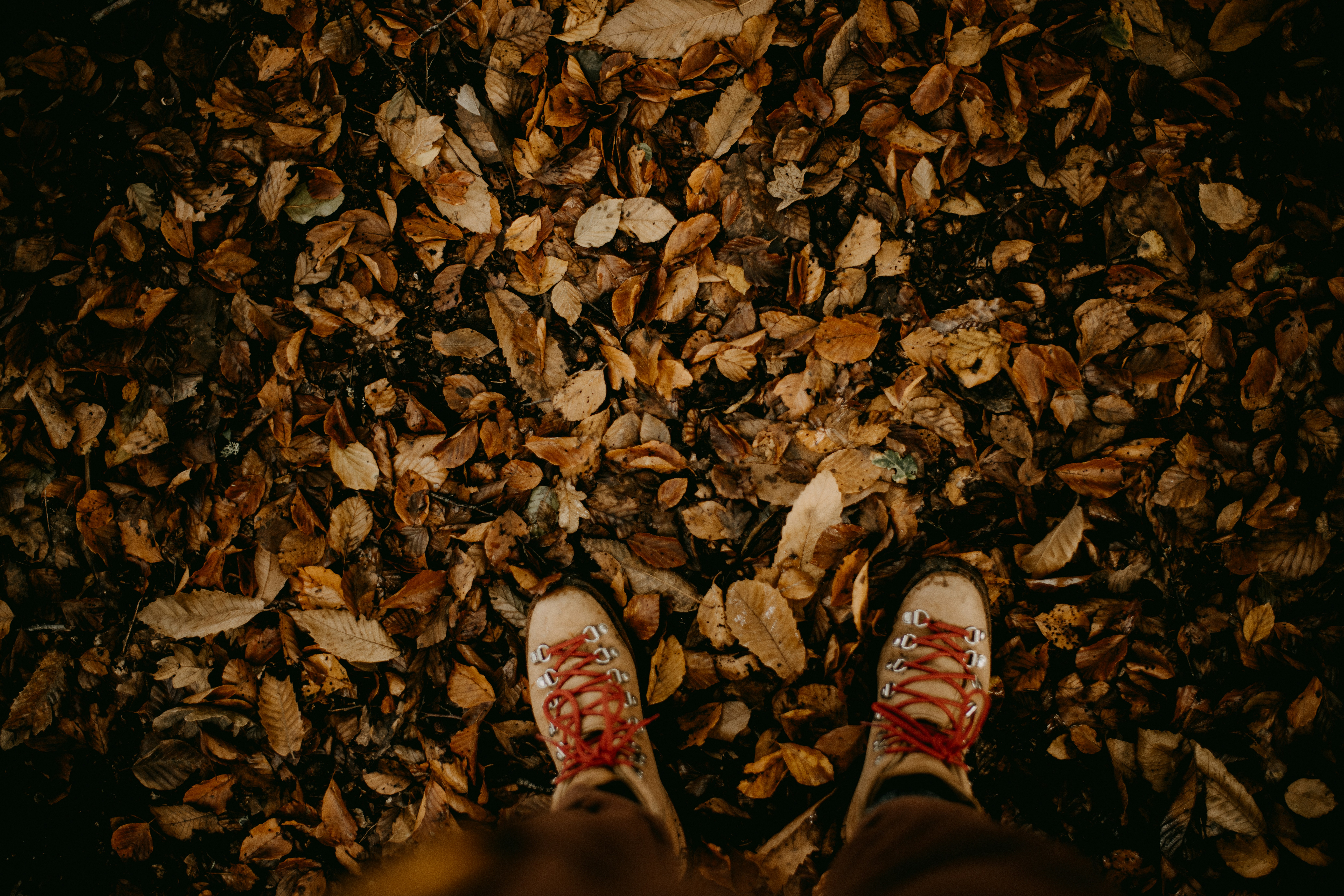 Photo by anniespratt