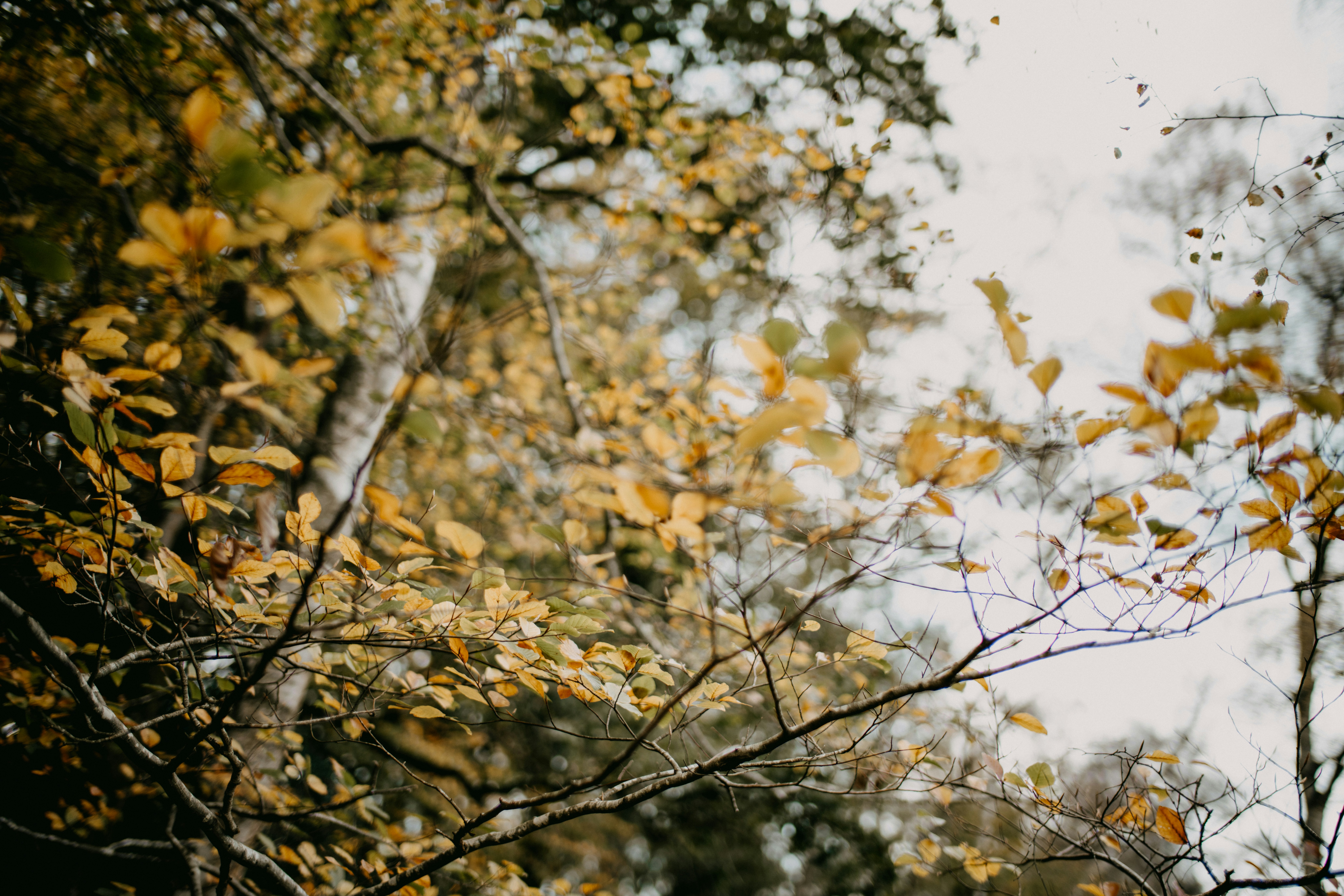 Photo by anniespratt