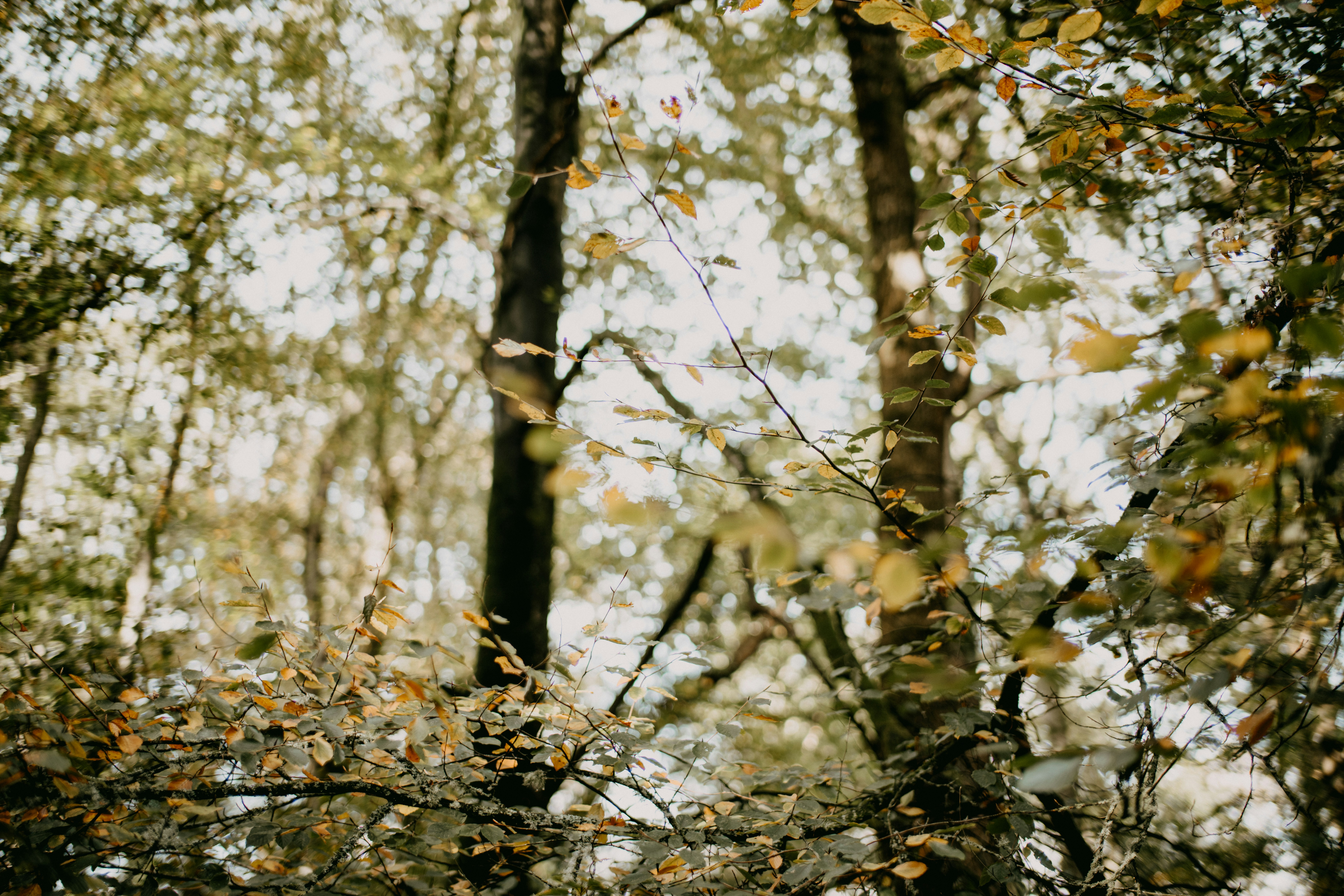 Photo by anniespratt