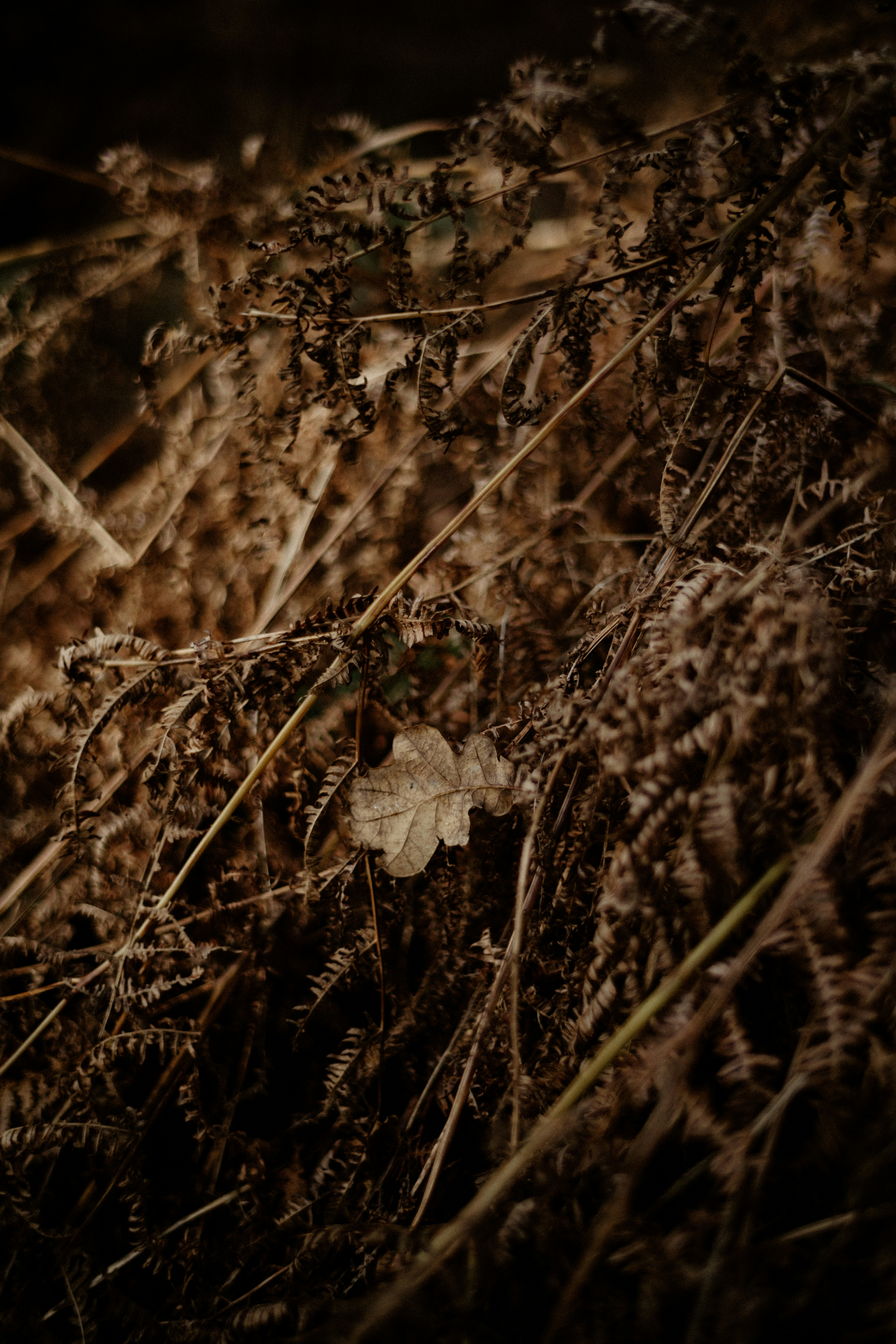 Photo by anniespratt