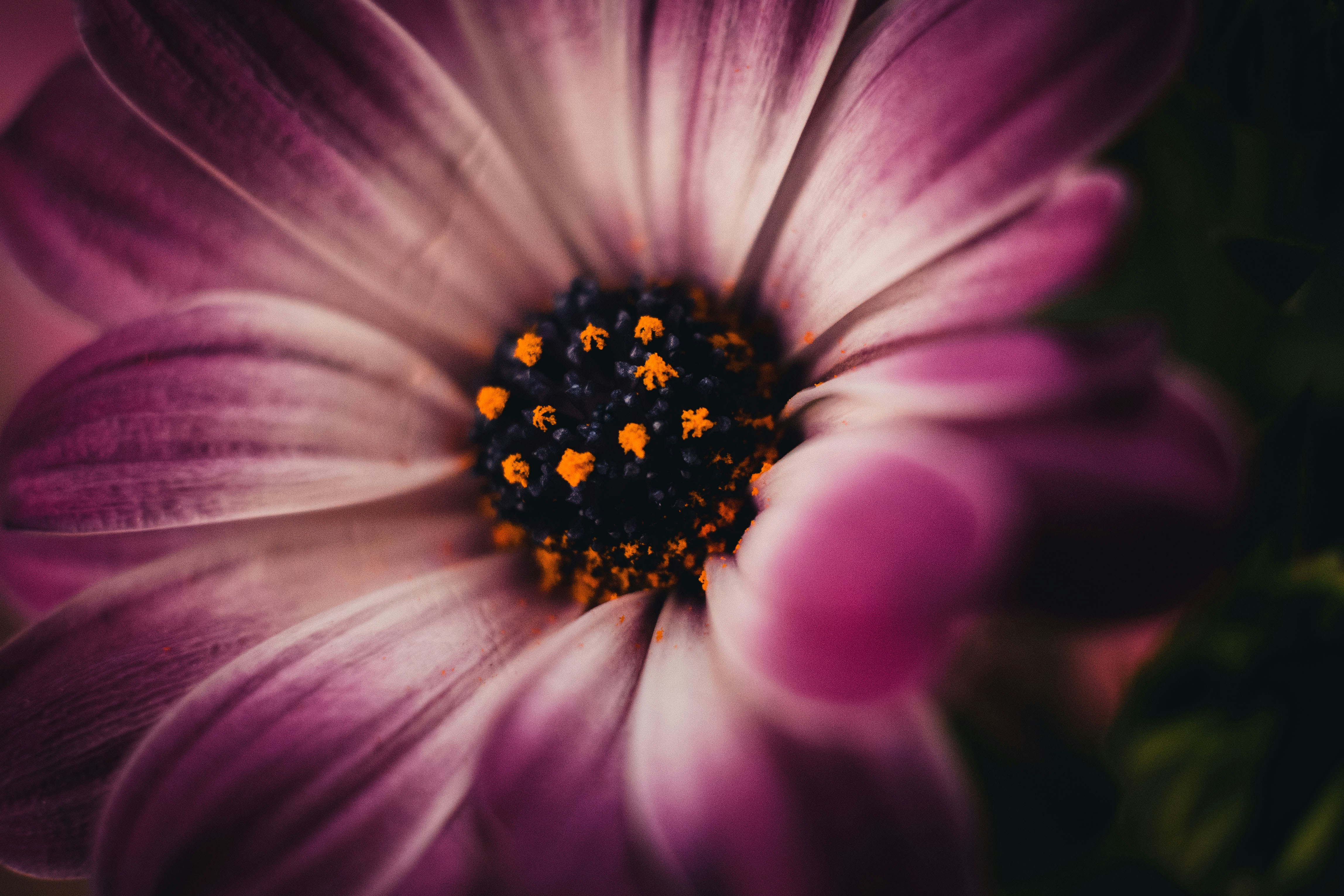 Photo by dermanuskript