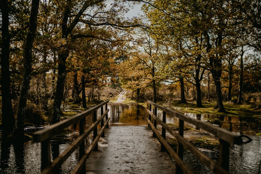 a wooden bridge over a body of water surrounded by trees