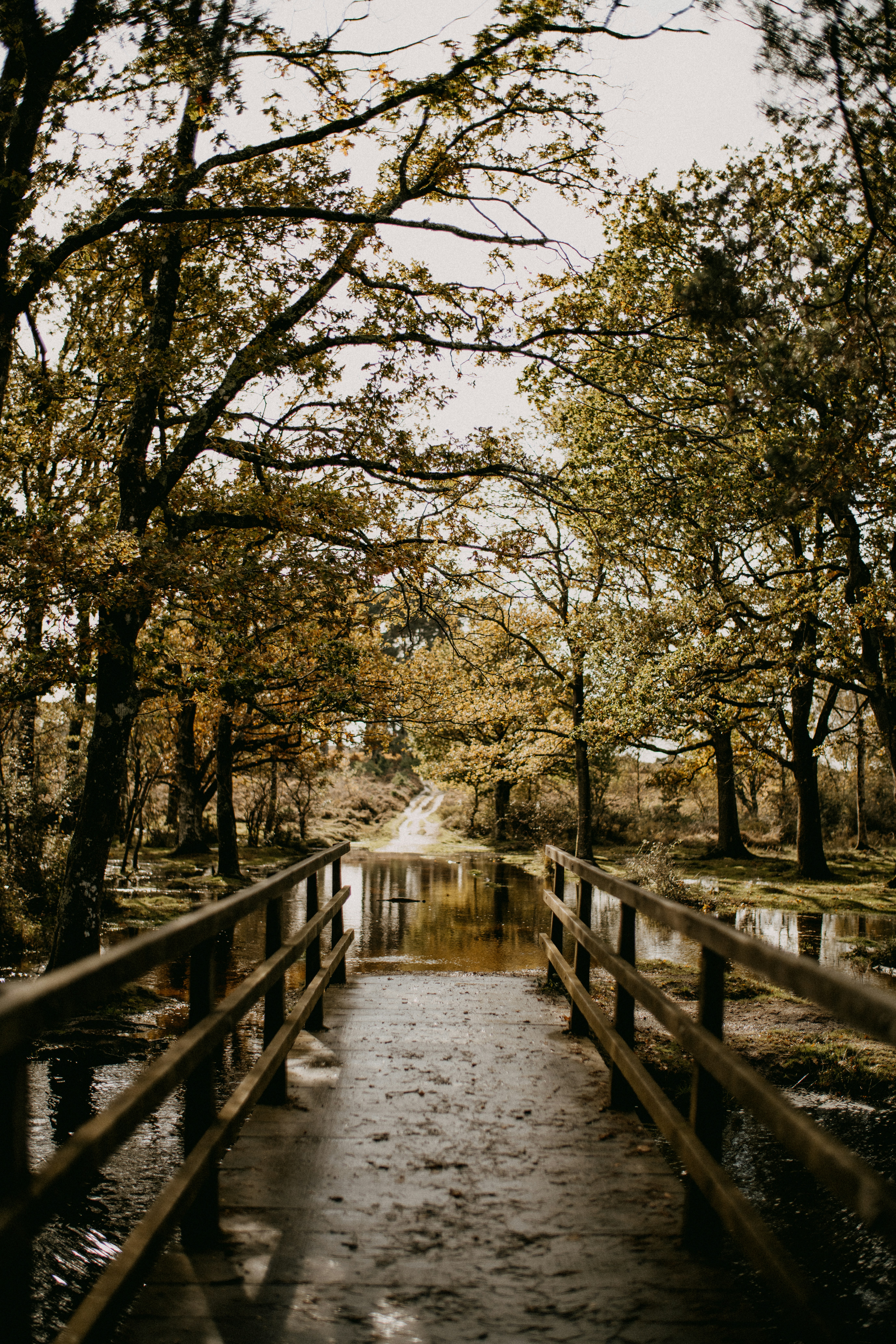 Photo by anniespratt