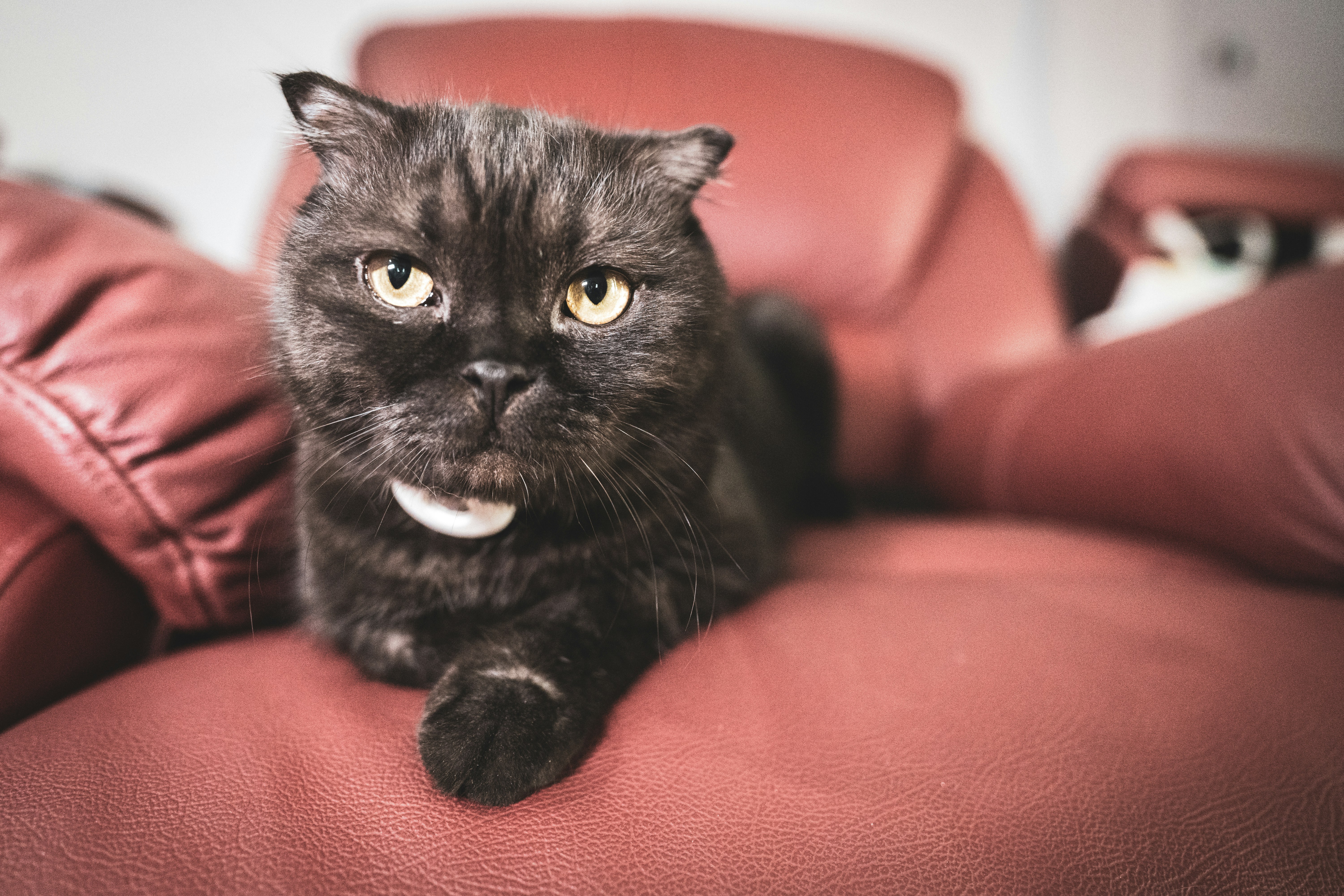 Photo by henrykobutra