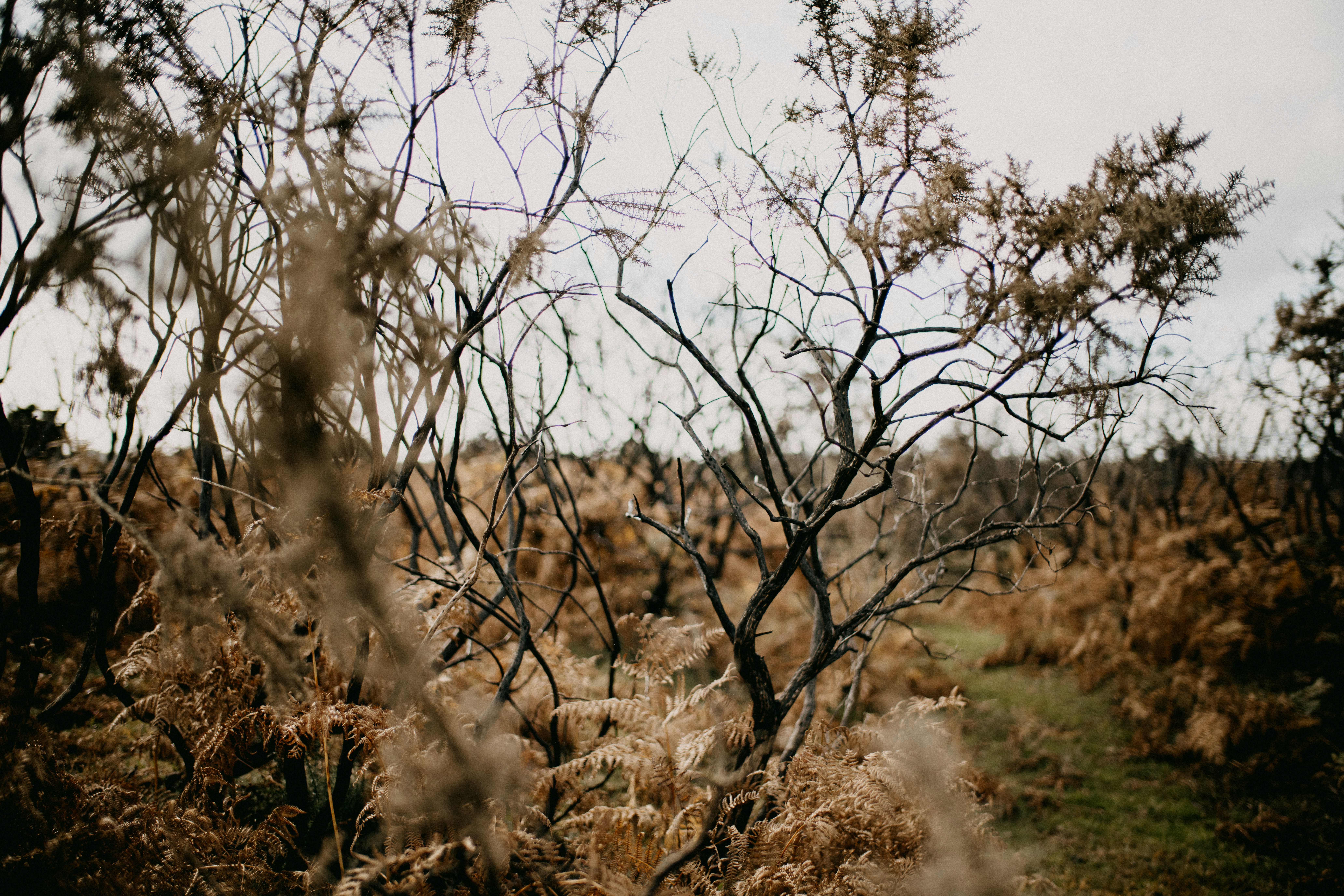 Photo by anniespratt