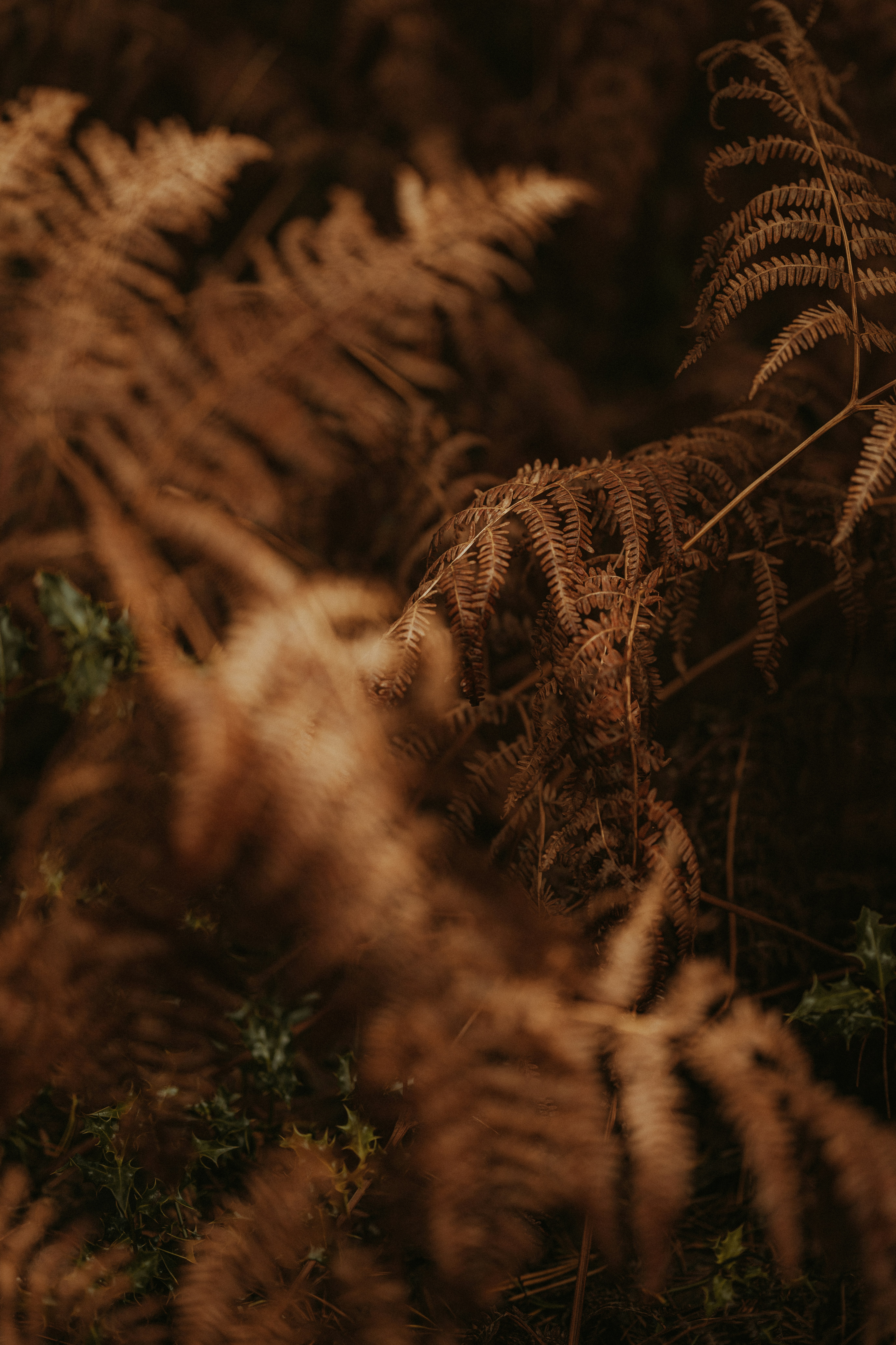 Photo by anniespratt