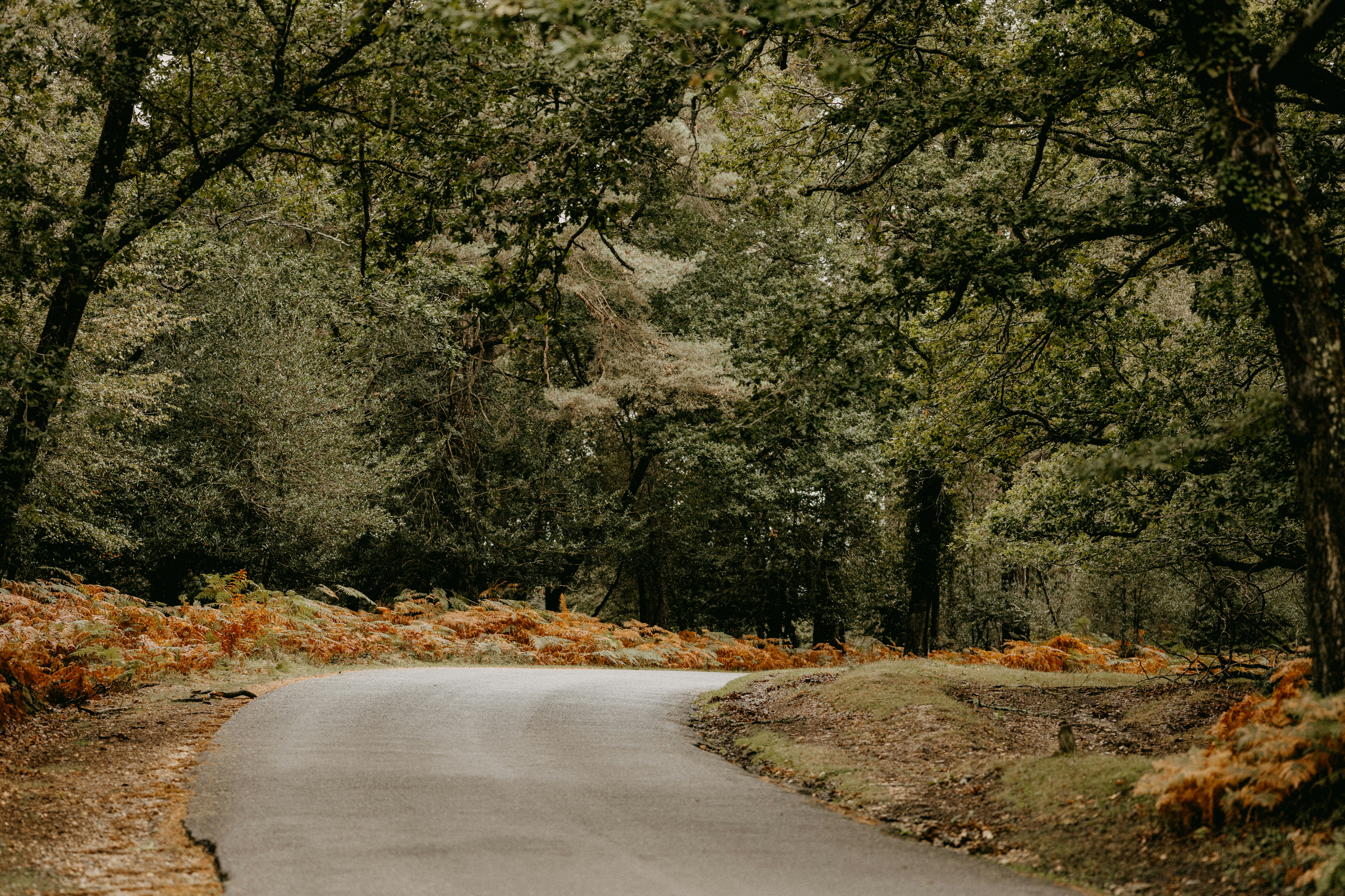 Photo by anniespratt