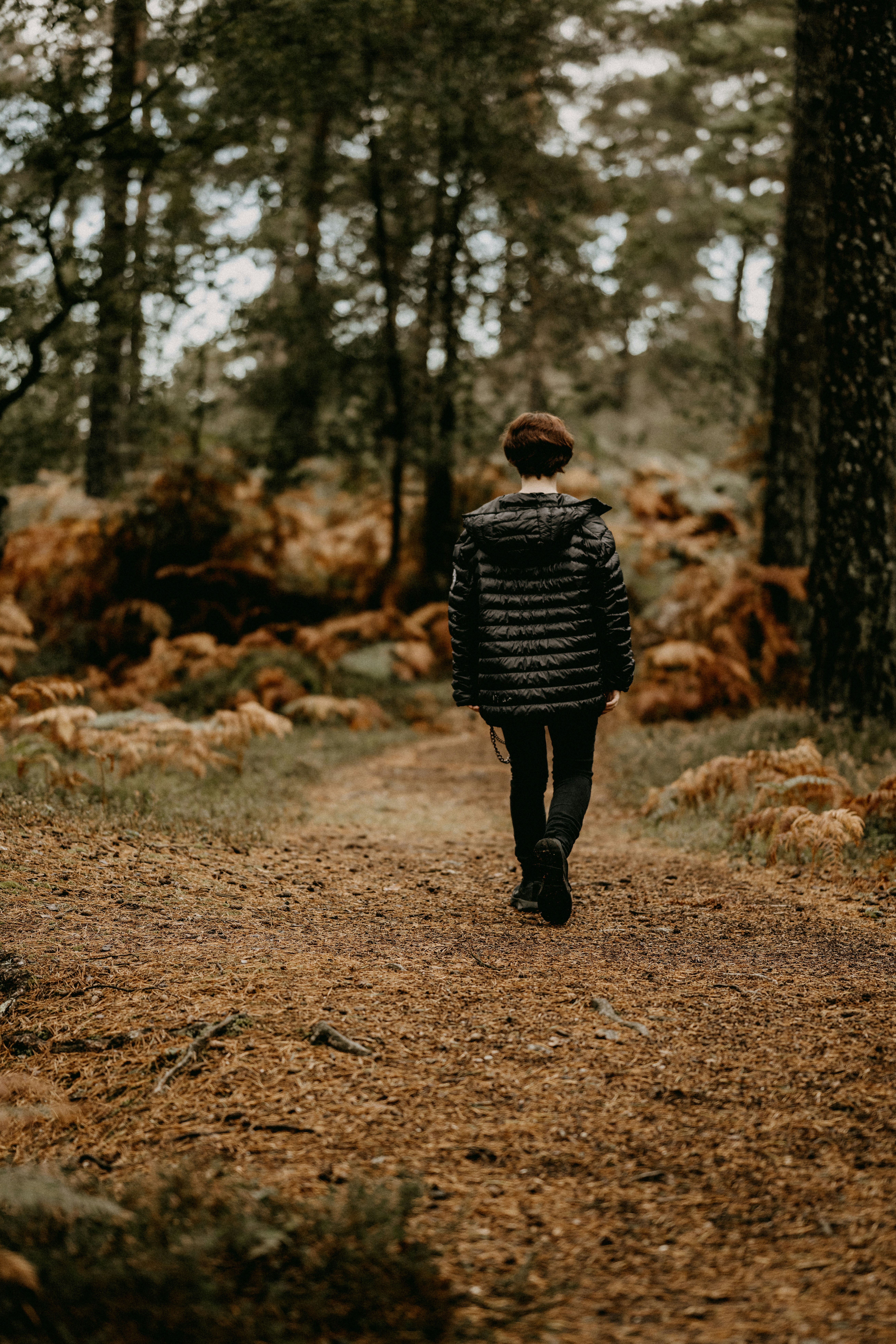 Photo by anniespratt