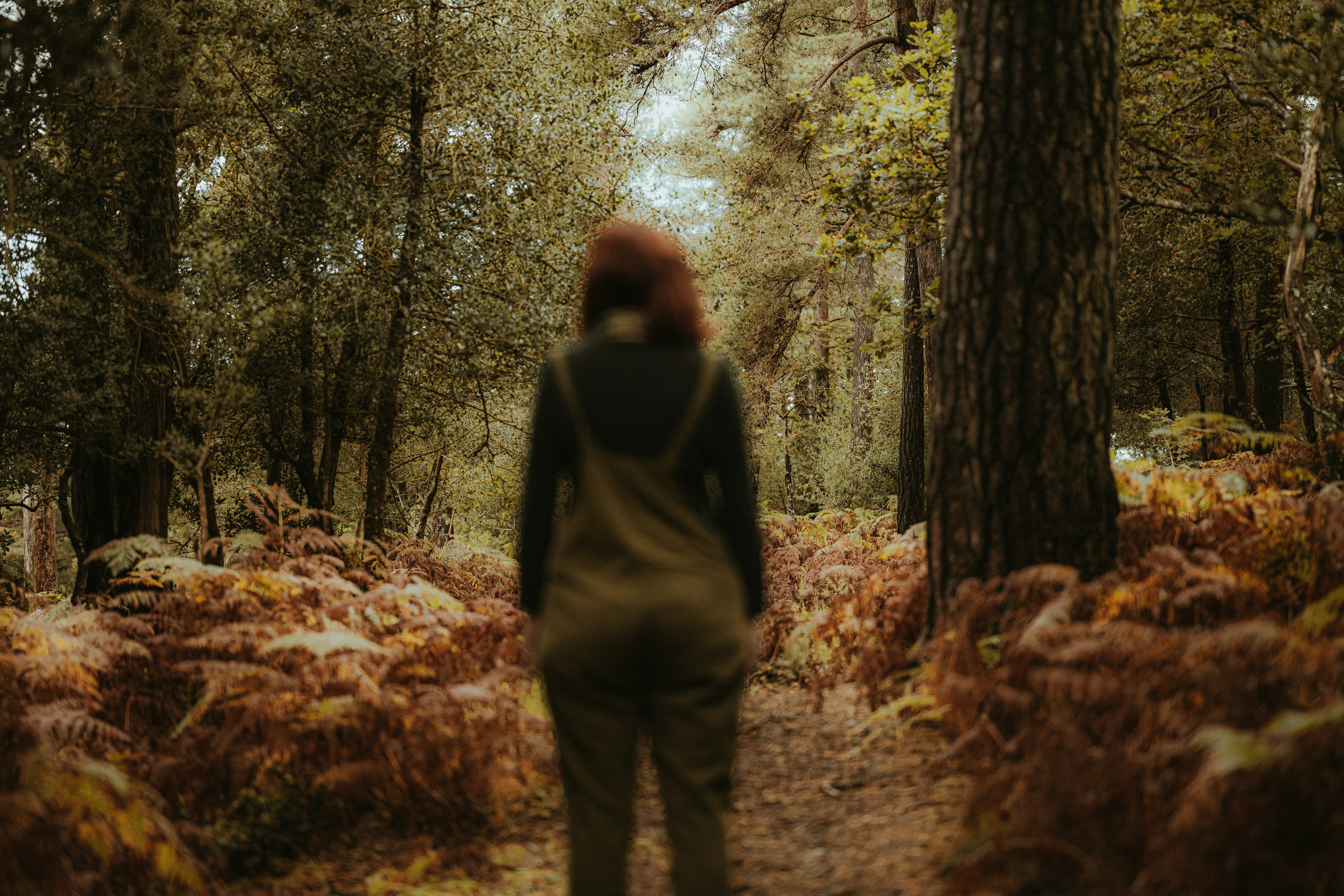 Photo by anniespratt