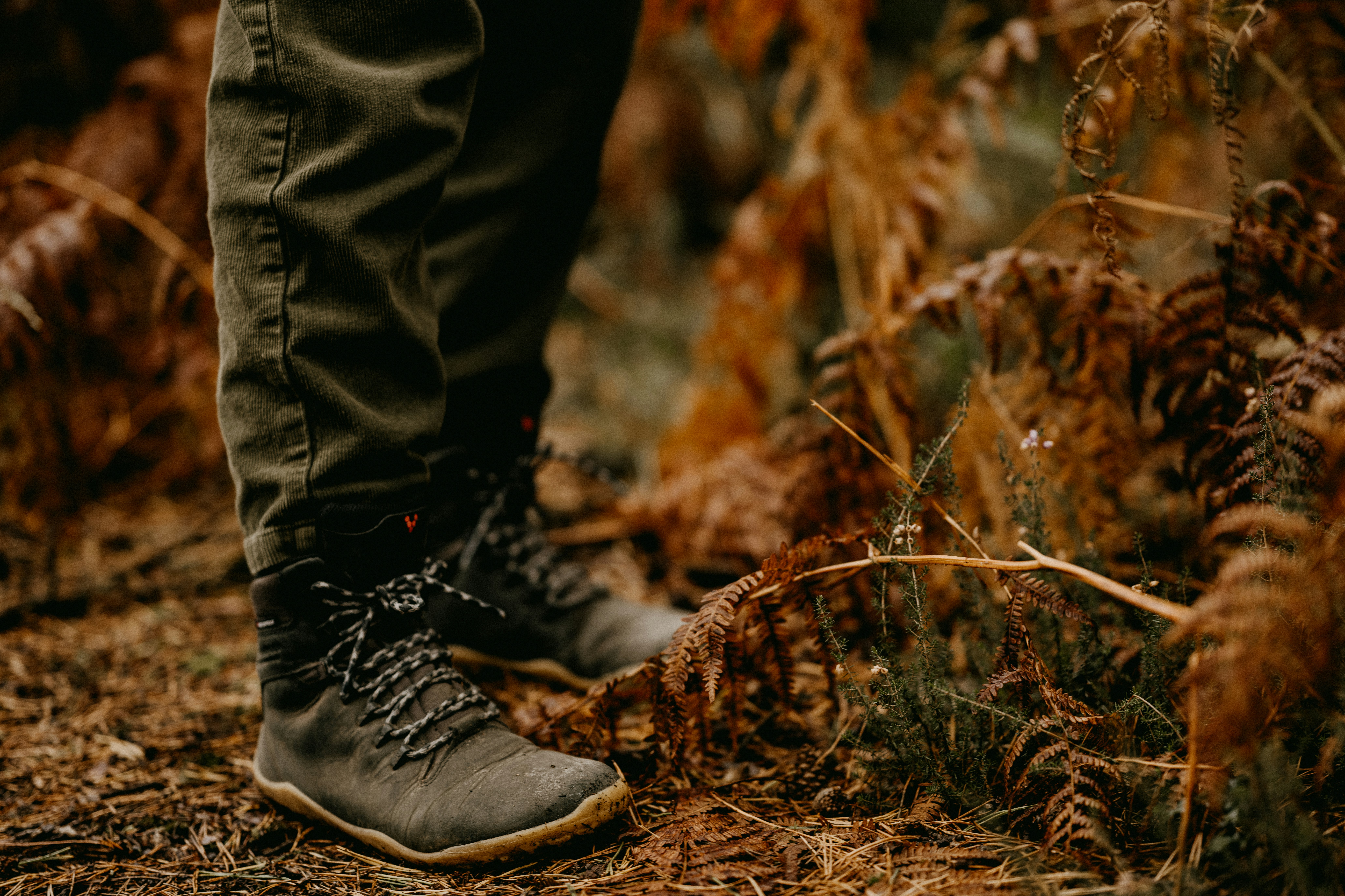 Photo by anniespratt