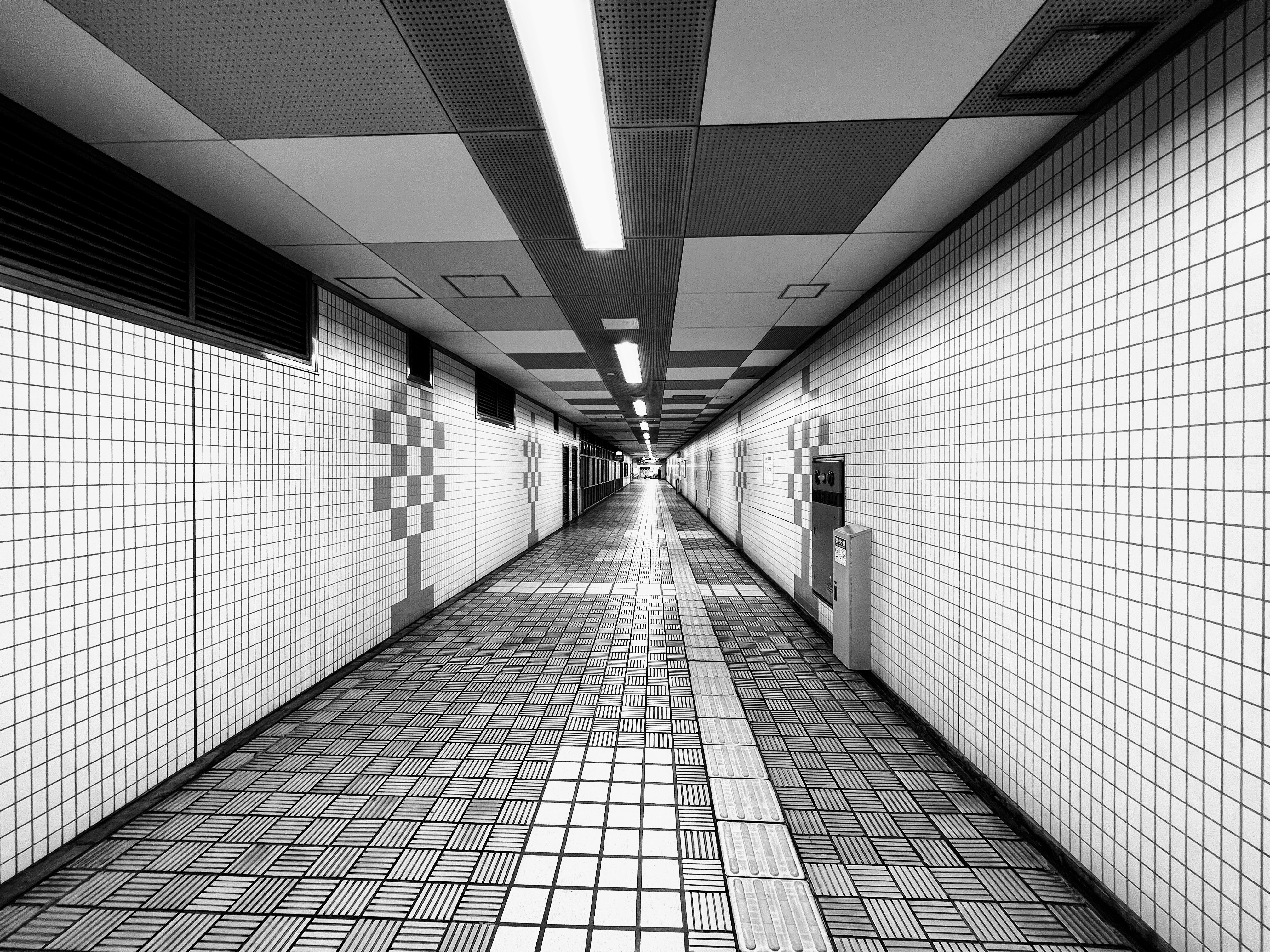 Photo by ry0kawasak1