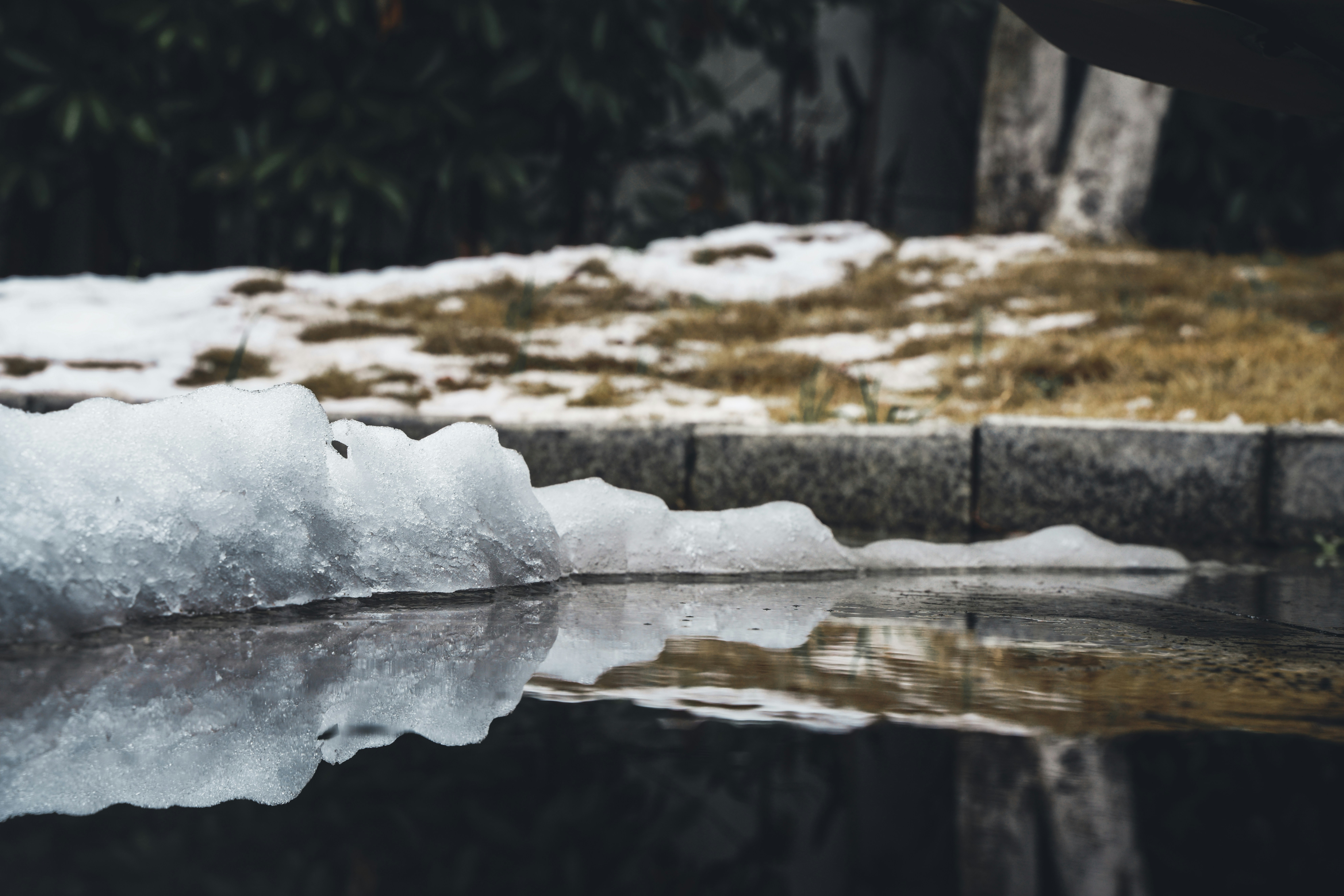 Photo by superxcalvin