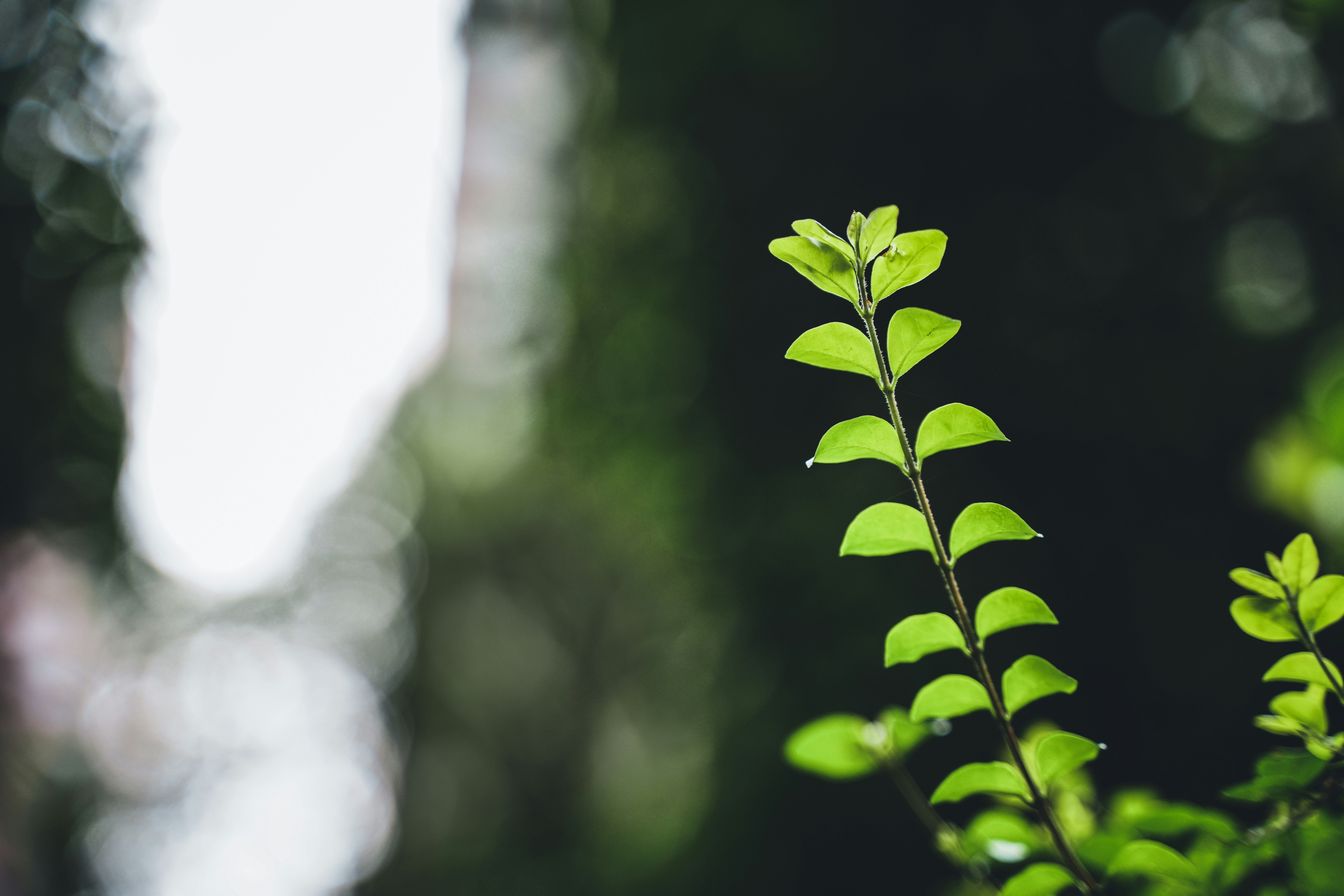 Photo by superxcalvin