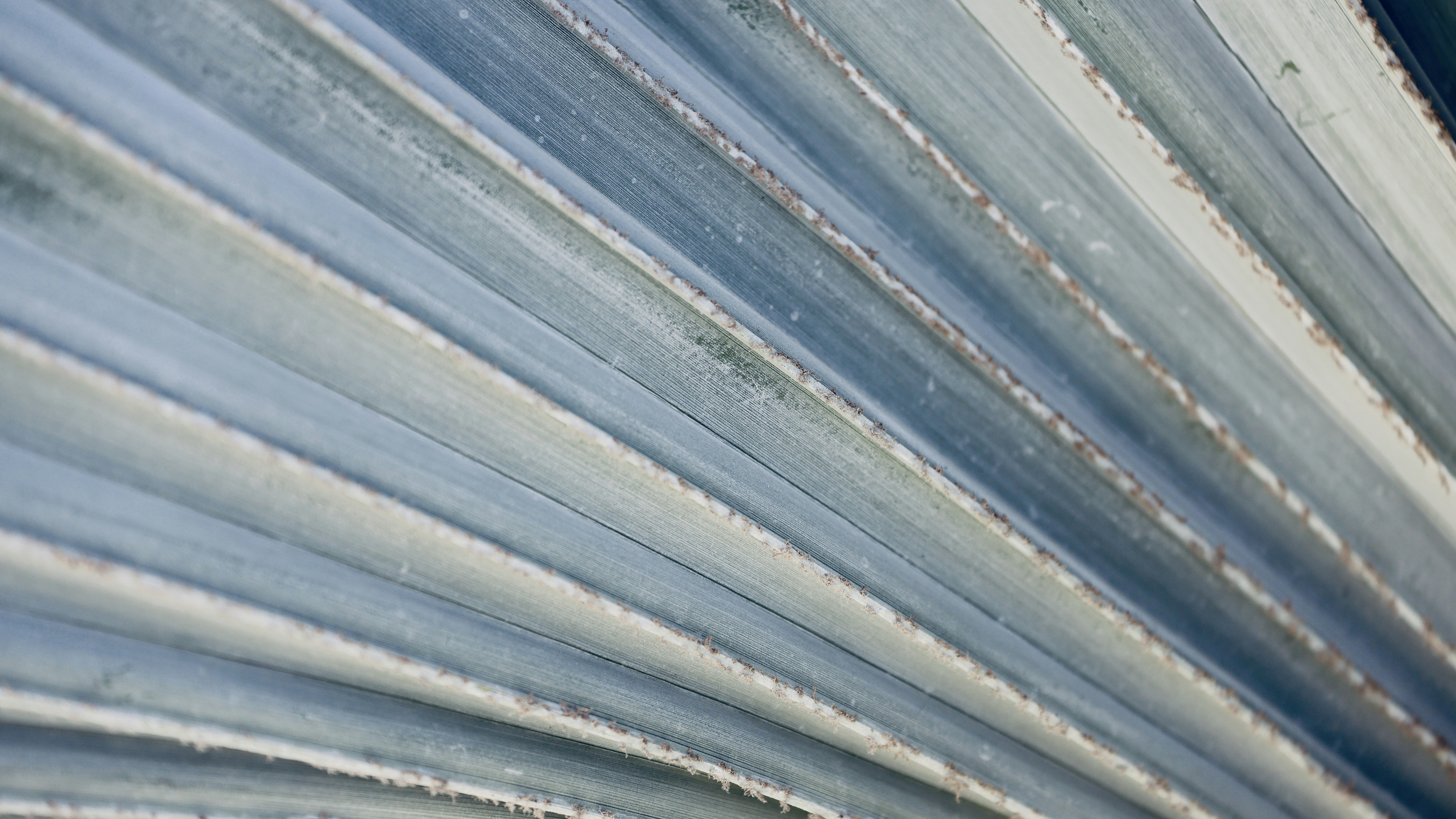 Photo by dickenslin76