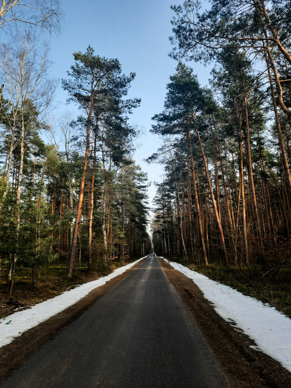 a road in the middle of a forest with snow on the ground