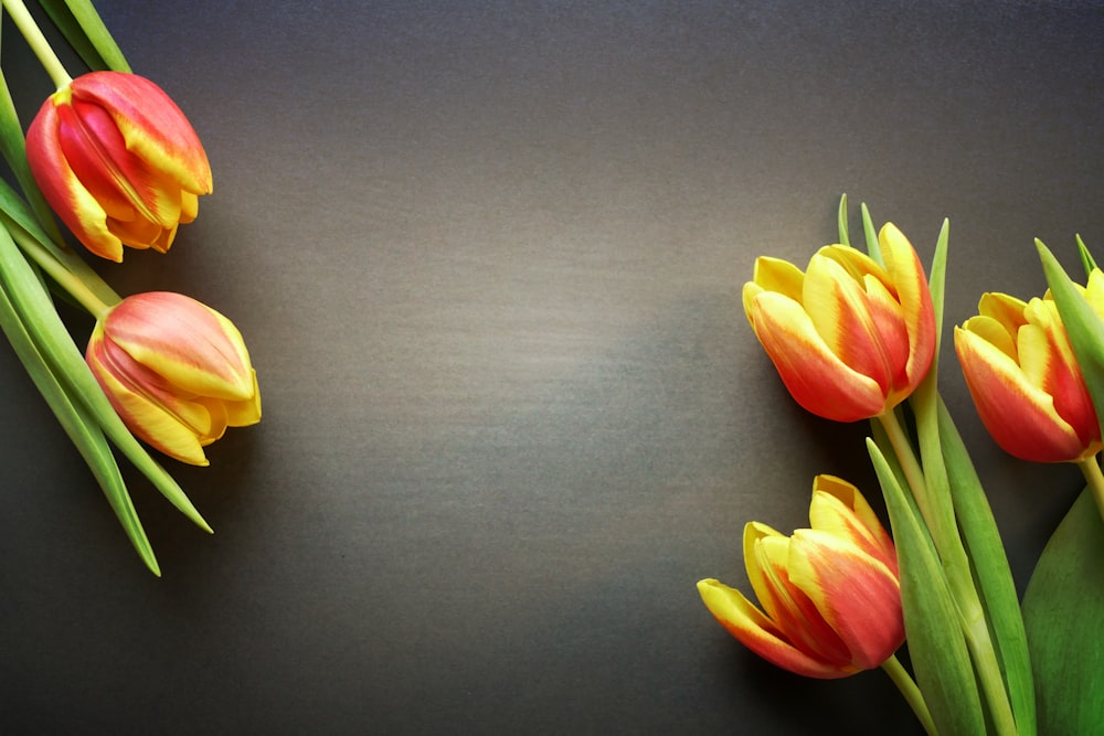 a group of tulips sitting on top of a table