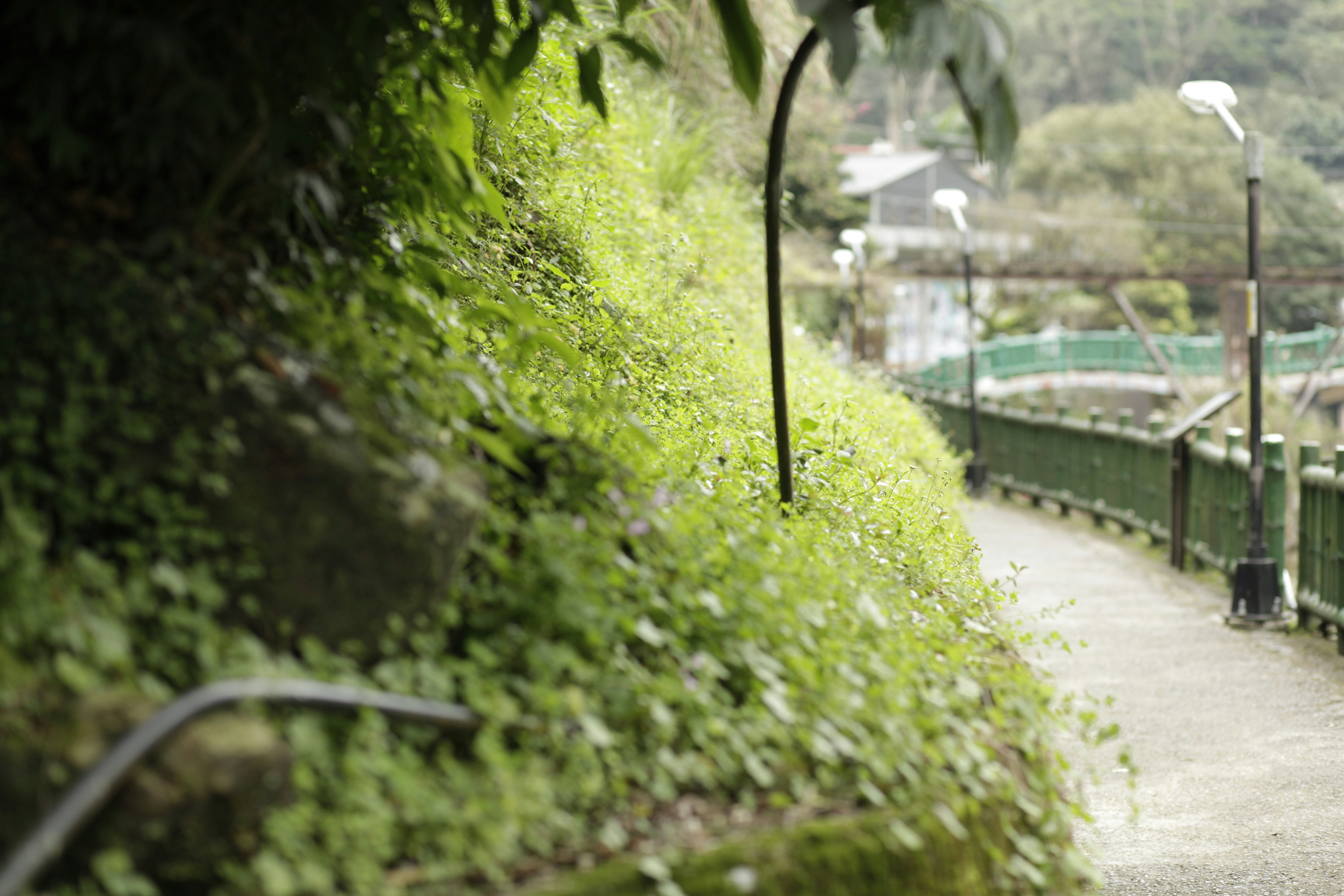 A man riding a bike down a path next to a lush green hillside photo ...