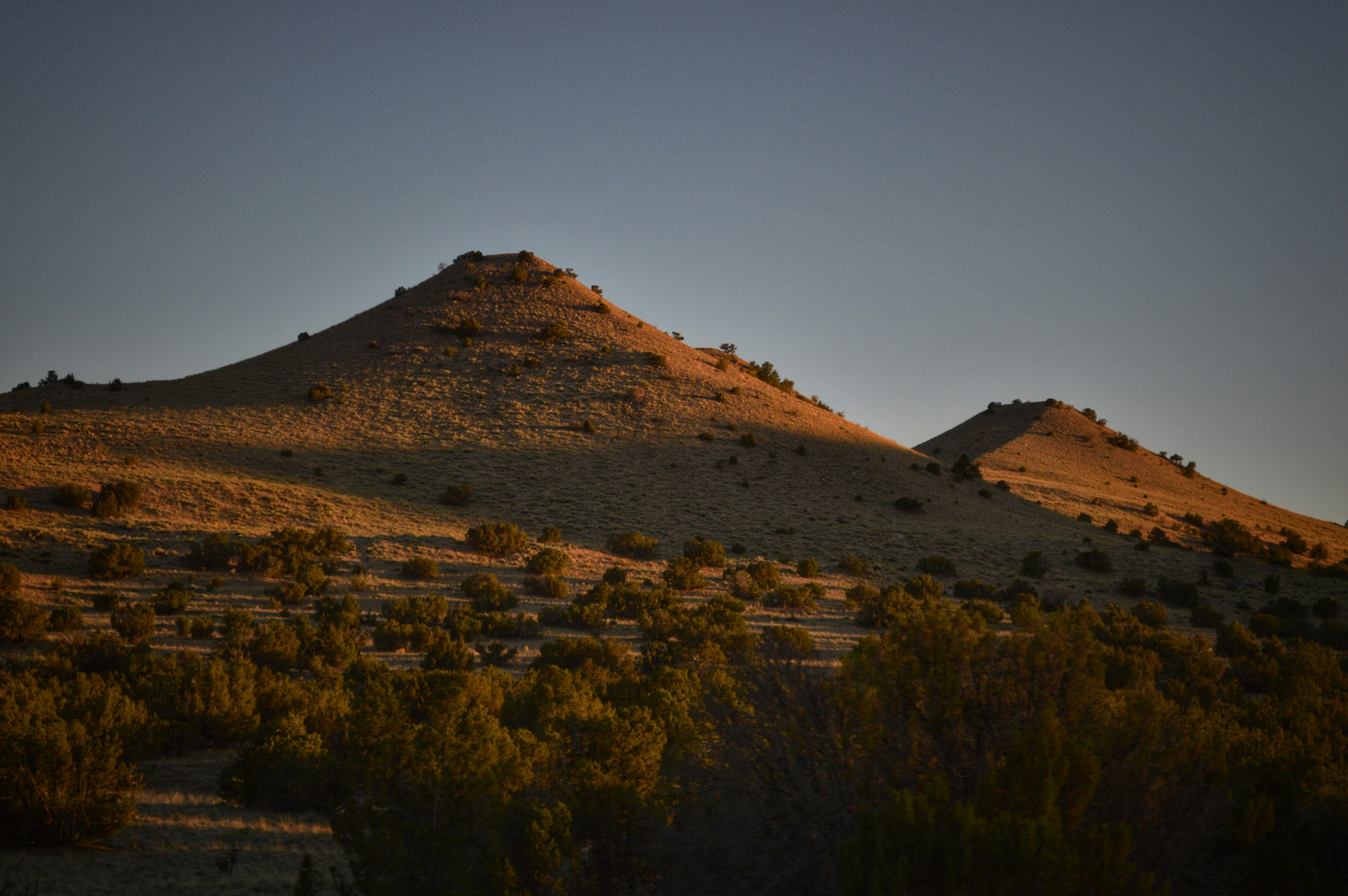 Photo by derekolson67