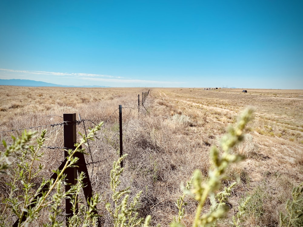 a field with a fence and a cow in the distance