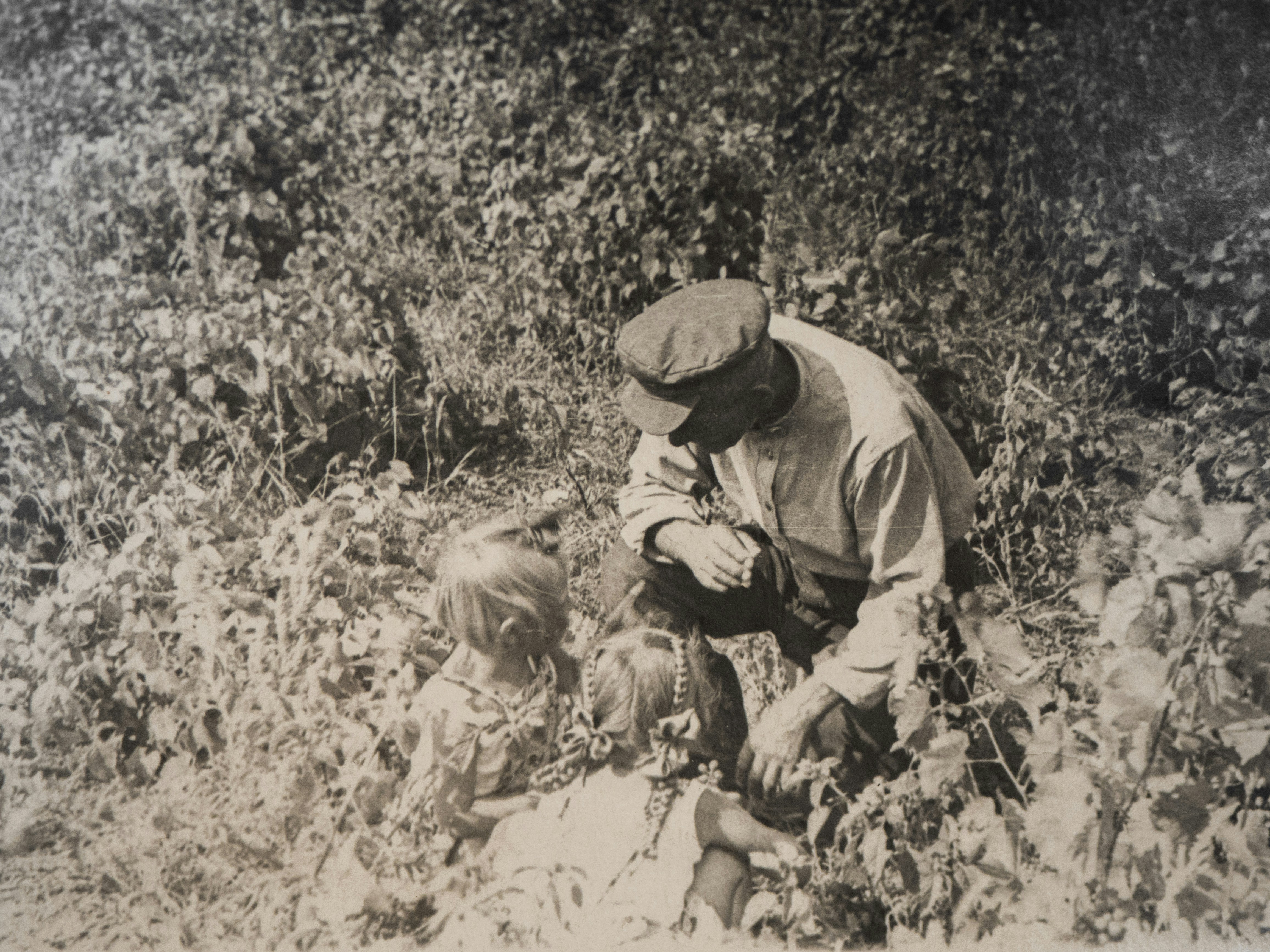Невідомому солдату 1941-1945
