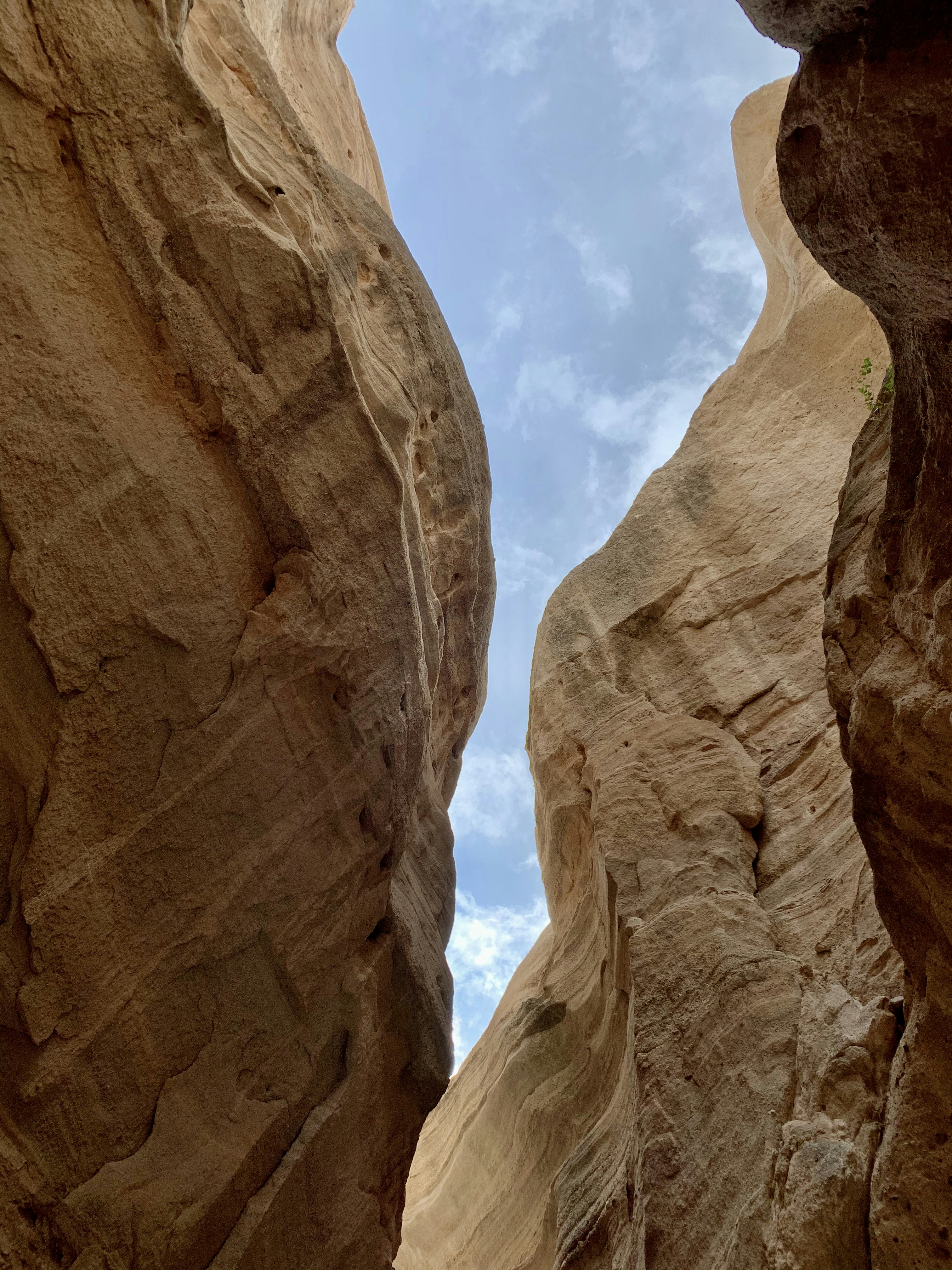 Photo by derekolson67