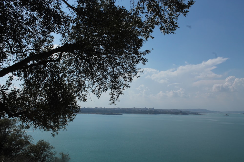 a large body of water surrounded by trees