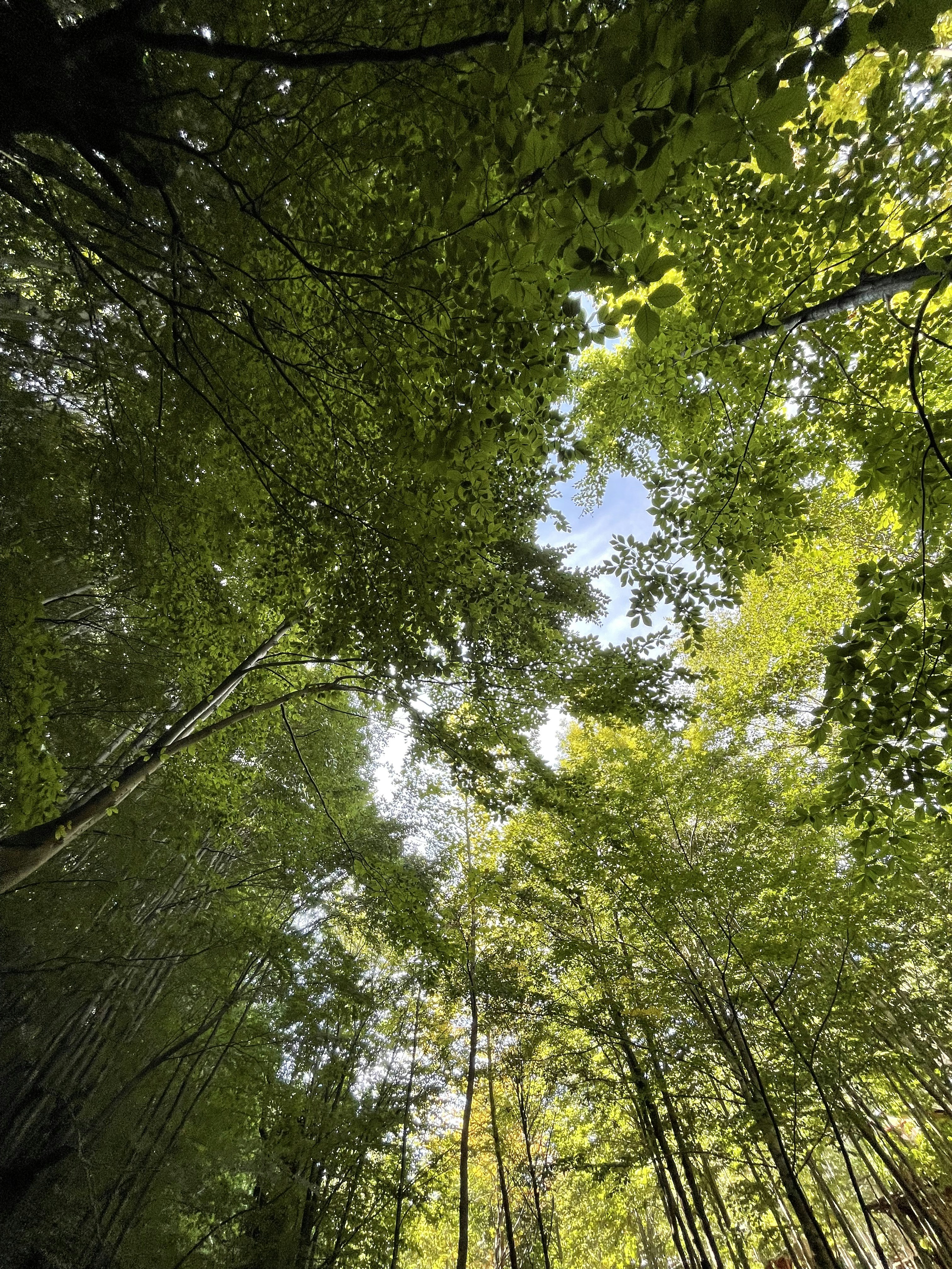 Photo by taskinfener