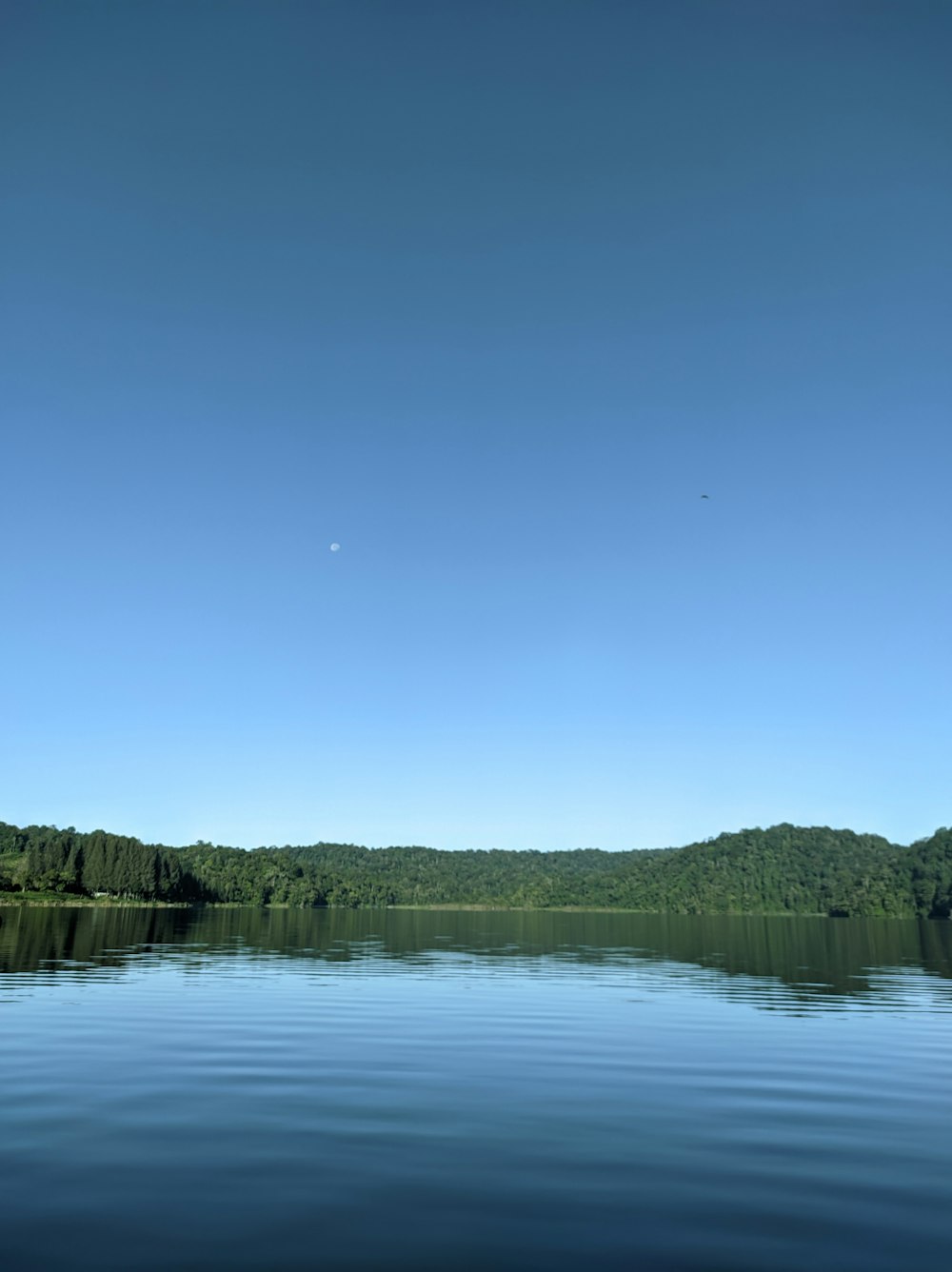 a body of water with trees in the background