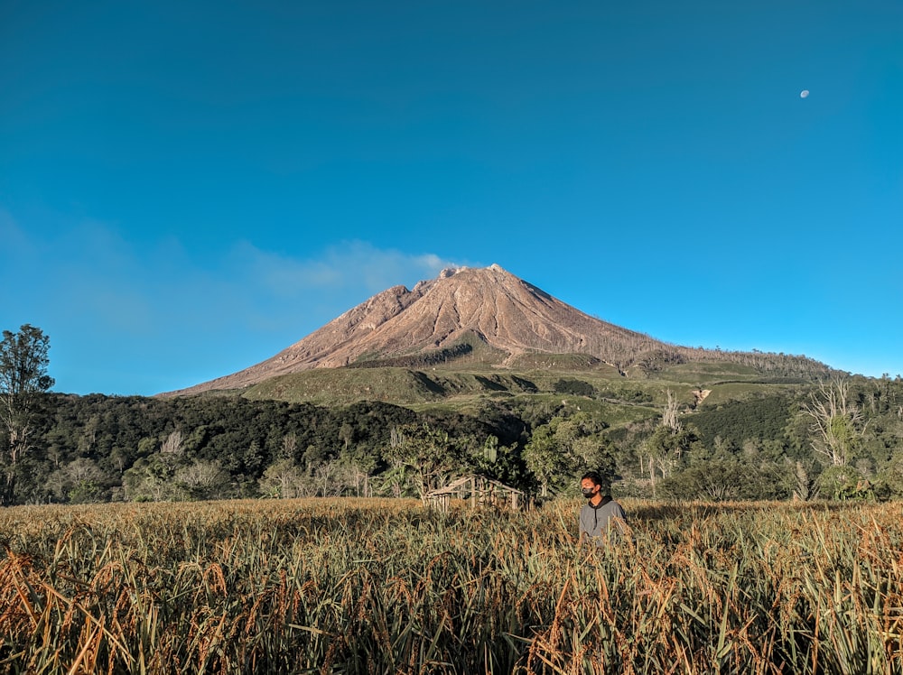 uma pessoa em pé em um campo com uma montanha no fundo