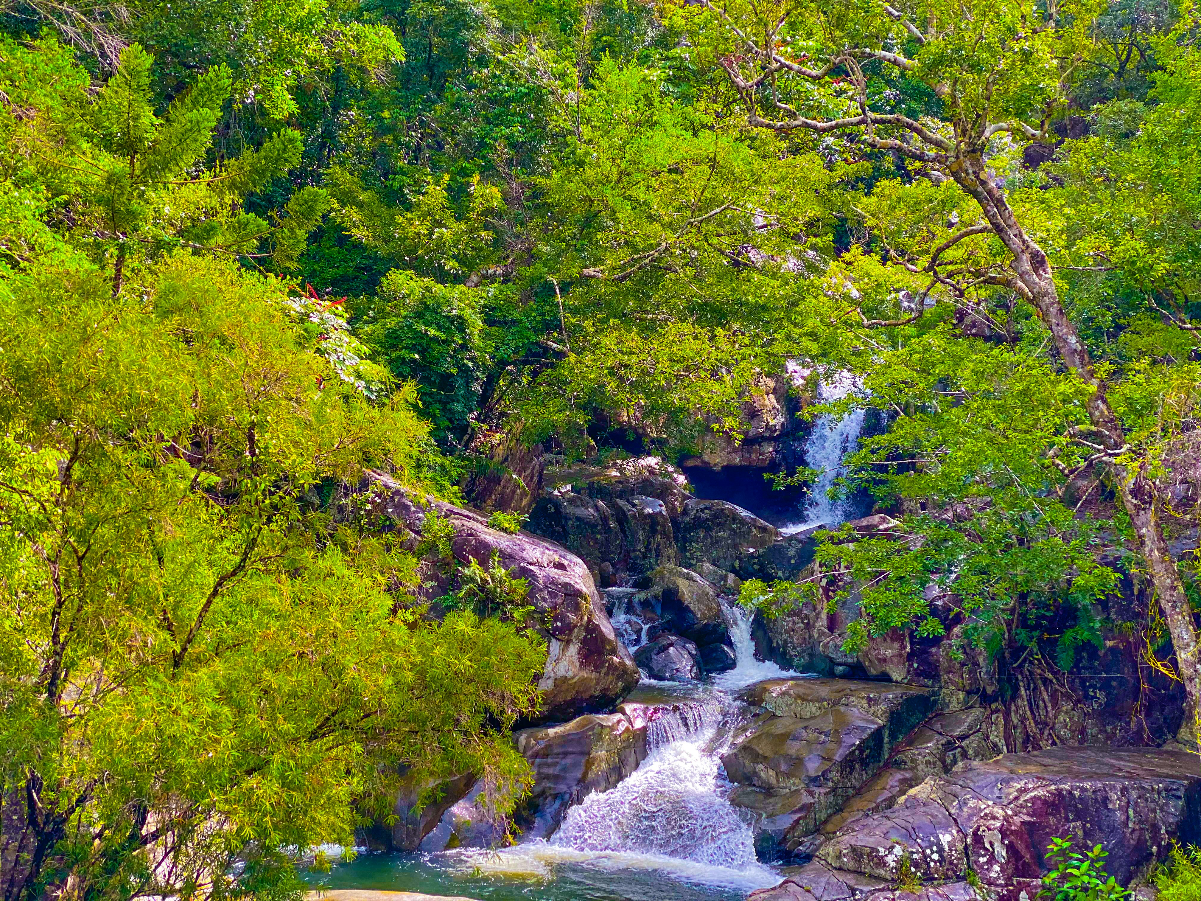 Photo by barber_pho93