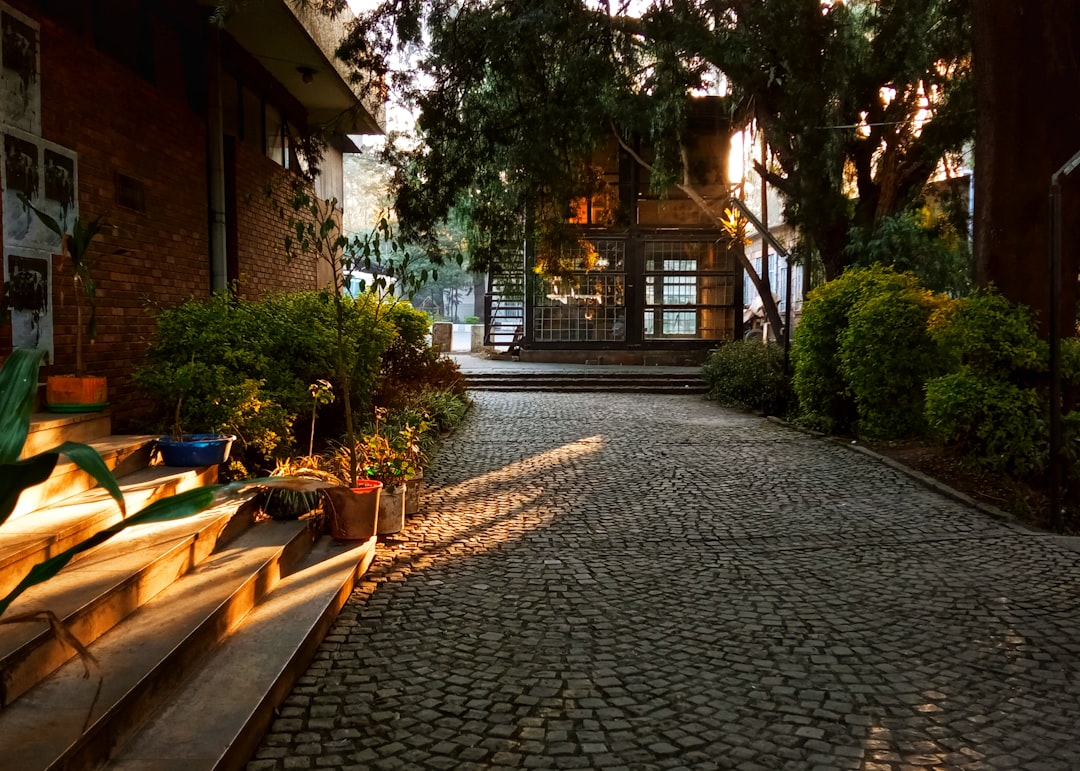 a cobblestone street with a house in the background,