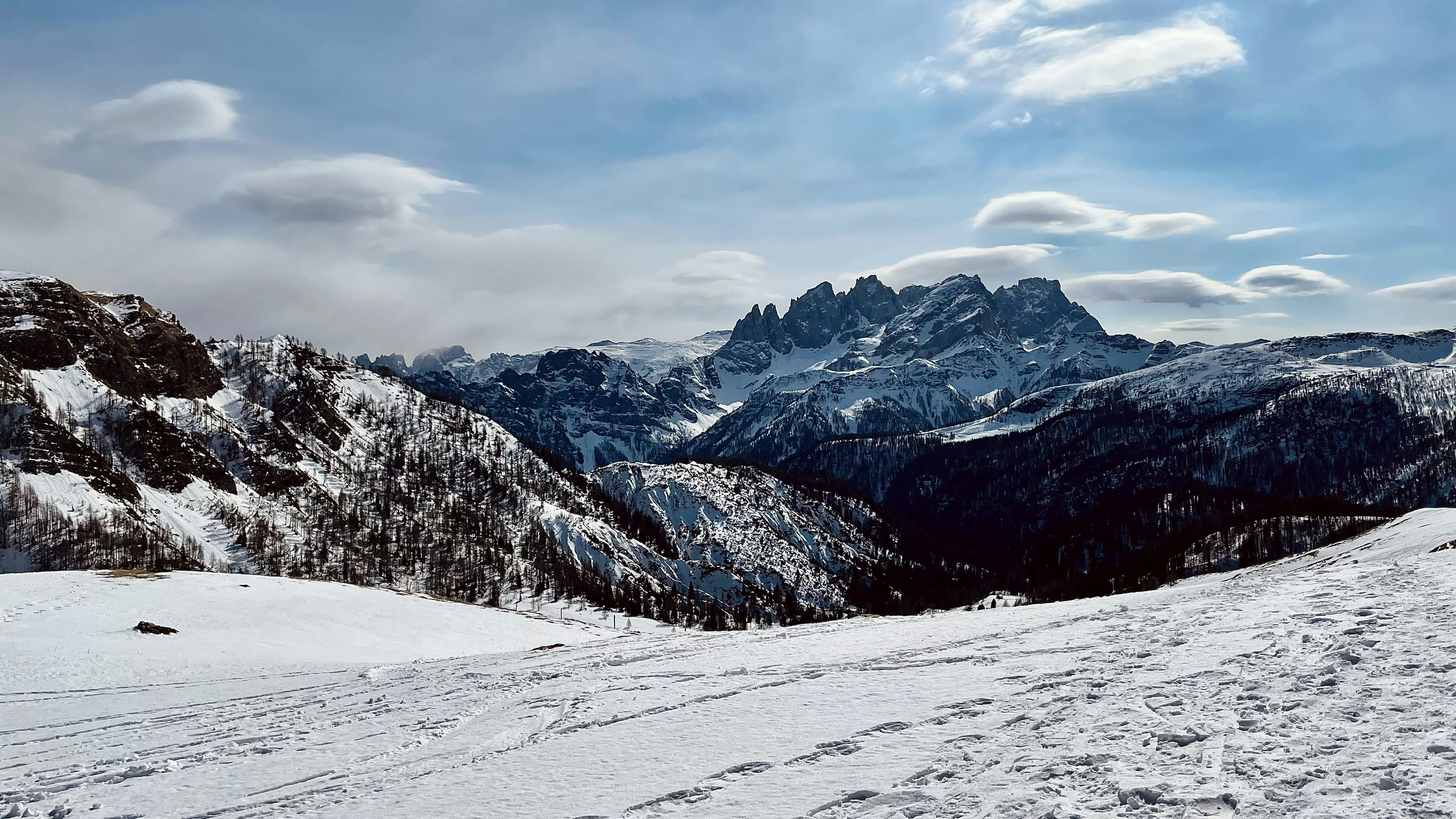 Photo by tyrannosara