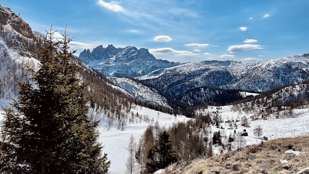 a view of a snowy mountain range with trees and mountains in the background