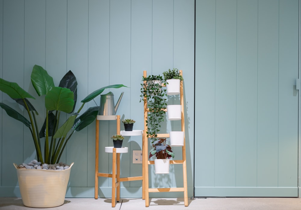 a potted plant sitting next to a wooden shelf