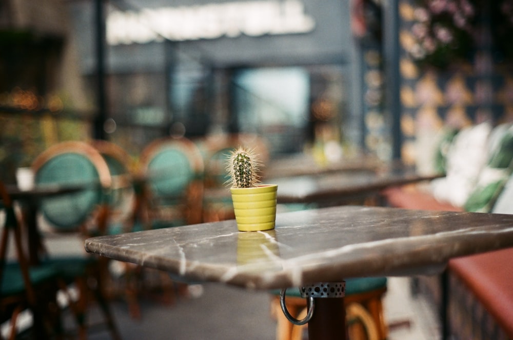 a small cactus sitting on top of a table