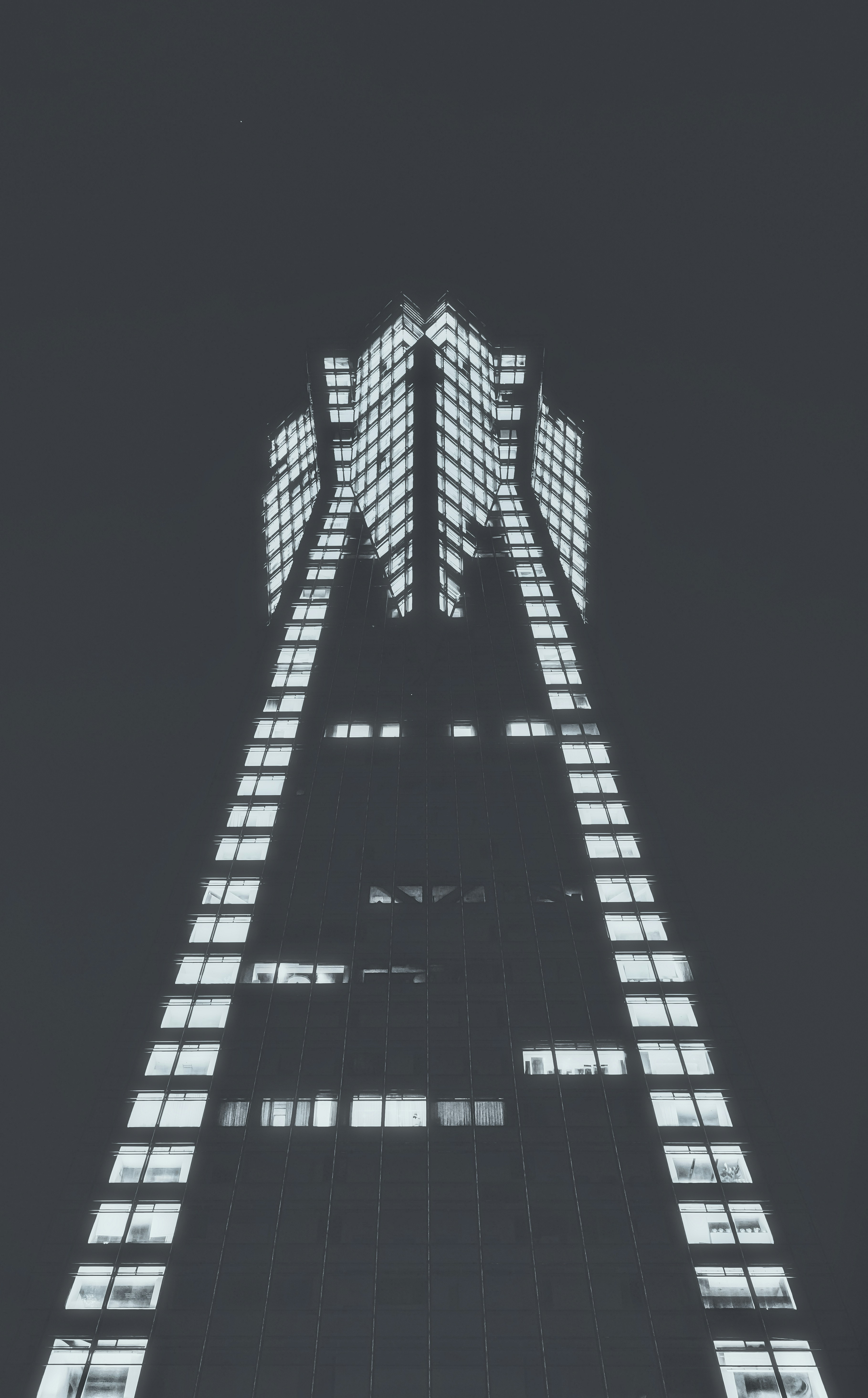 Photo by mocking_bird