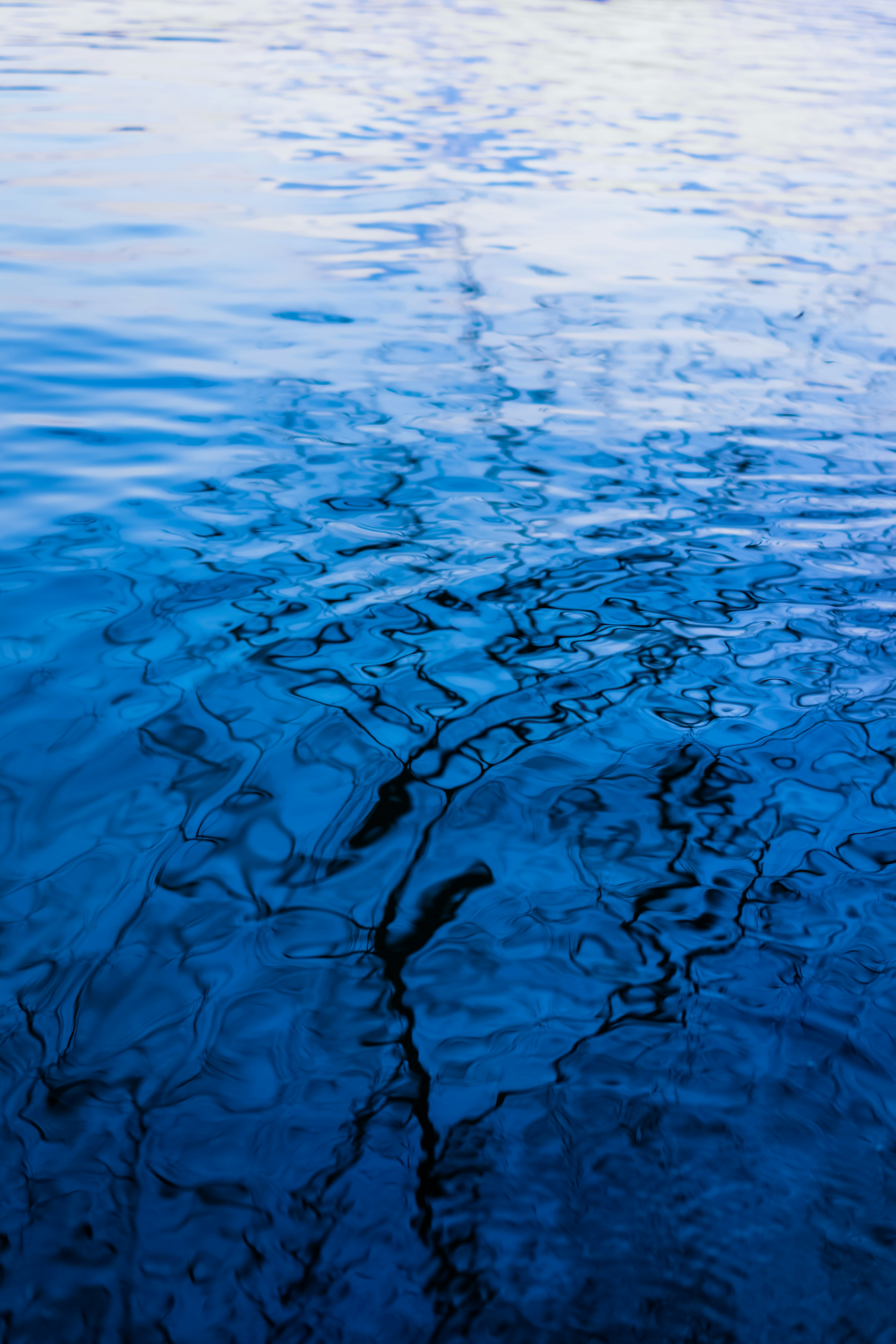 Photo by mocking_bird