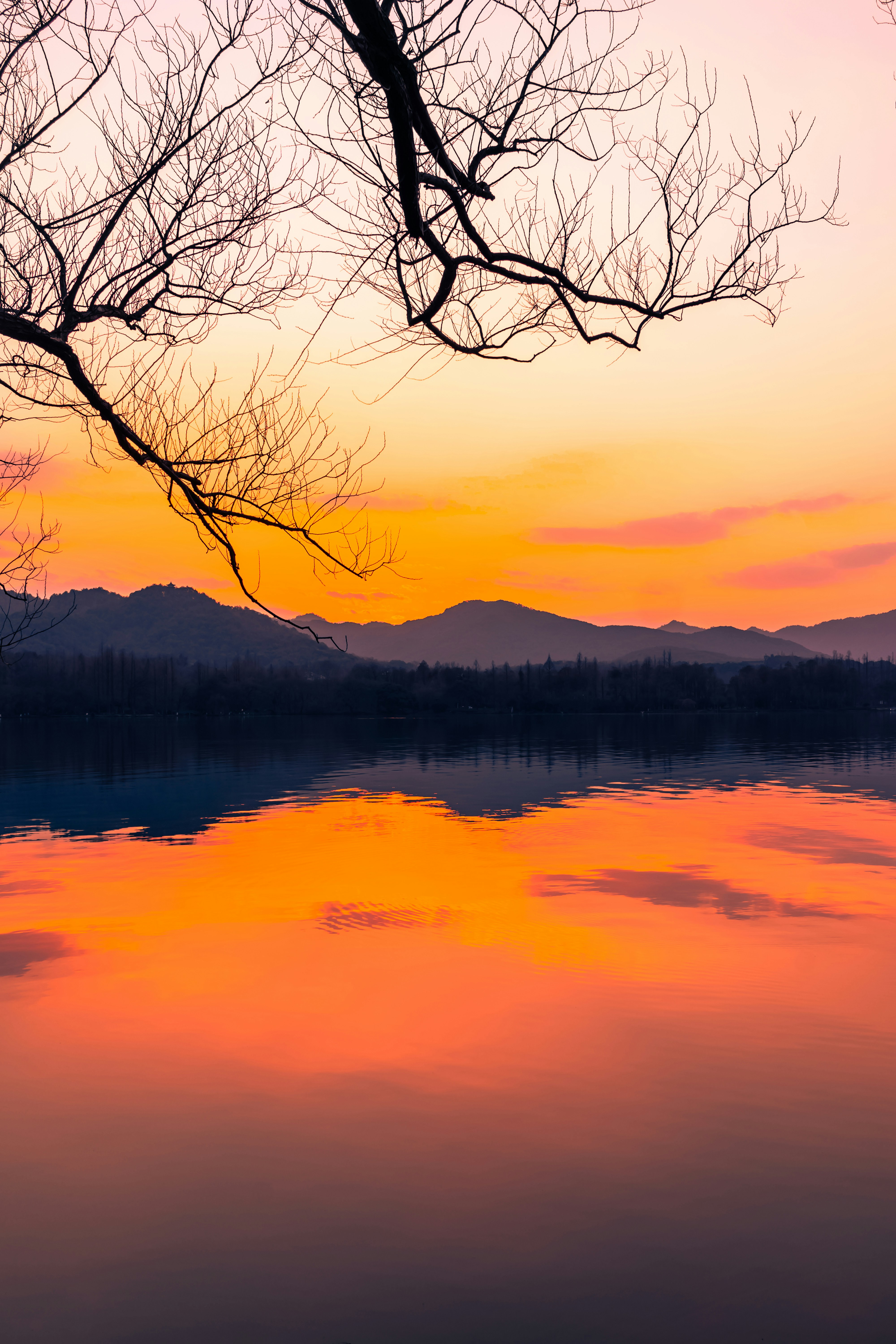 Photo by mocking_bird